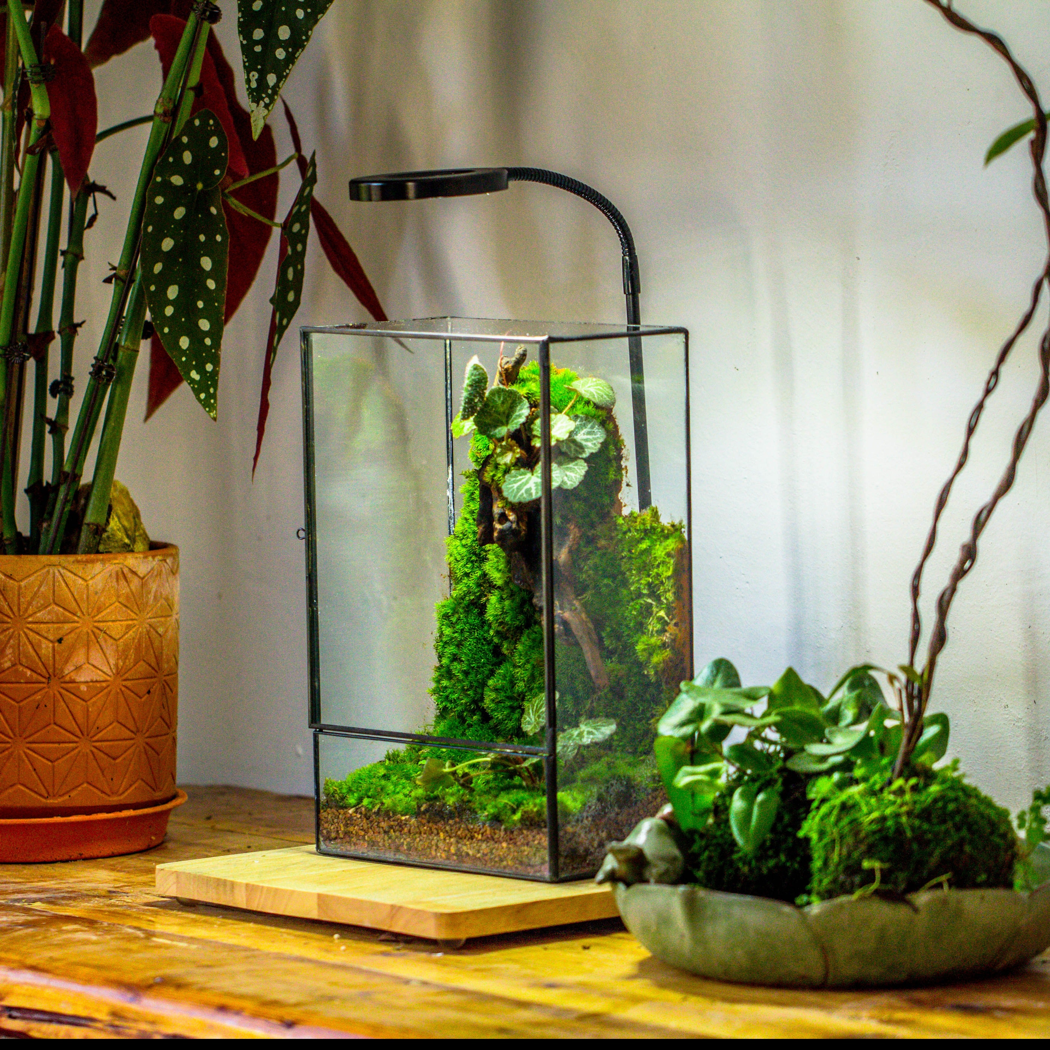 8x12" Close Geometric Glass Terrarium with Door, Tin Sealed Rectangle Tall Planter for Moss Wall, Fern, Landscape multiple size, No plants - NCYPgarden