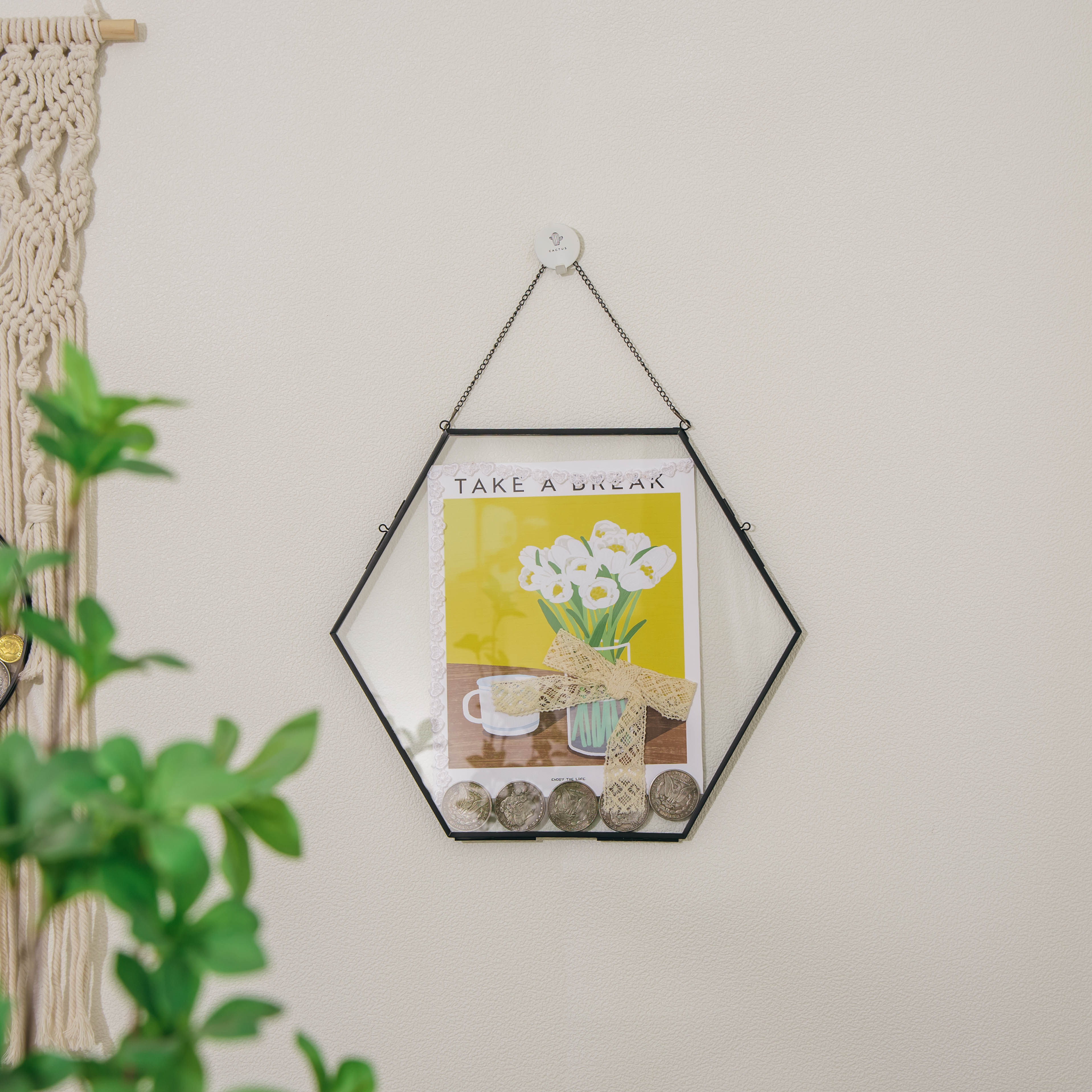 Wall Hanging Black Hexagon 12" Herbarium Brass Glass Frame for Thick Pressed Flowers, Dried Flowers, Poster, Coin, Double Glass, floating - NCYPgarden