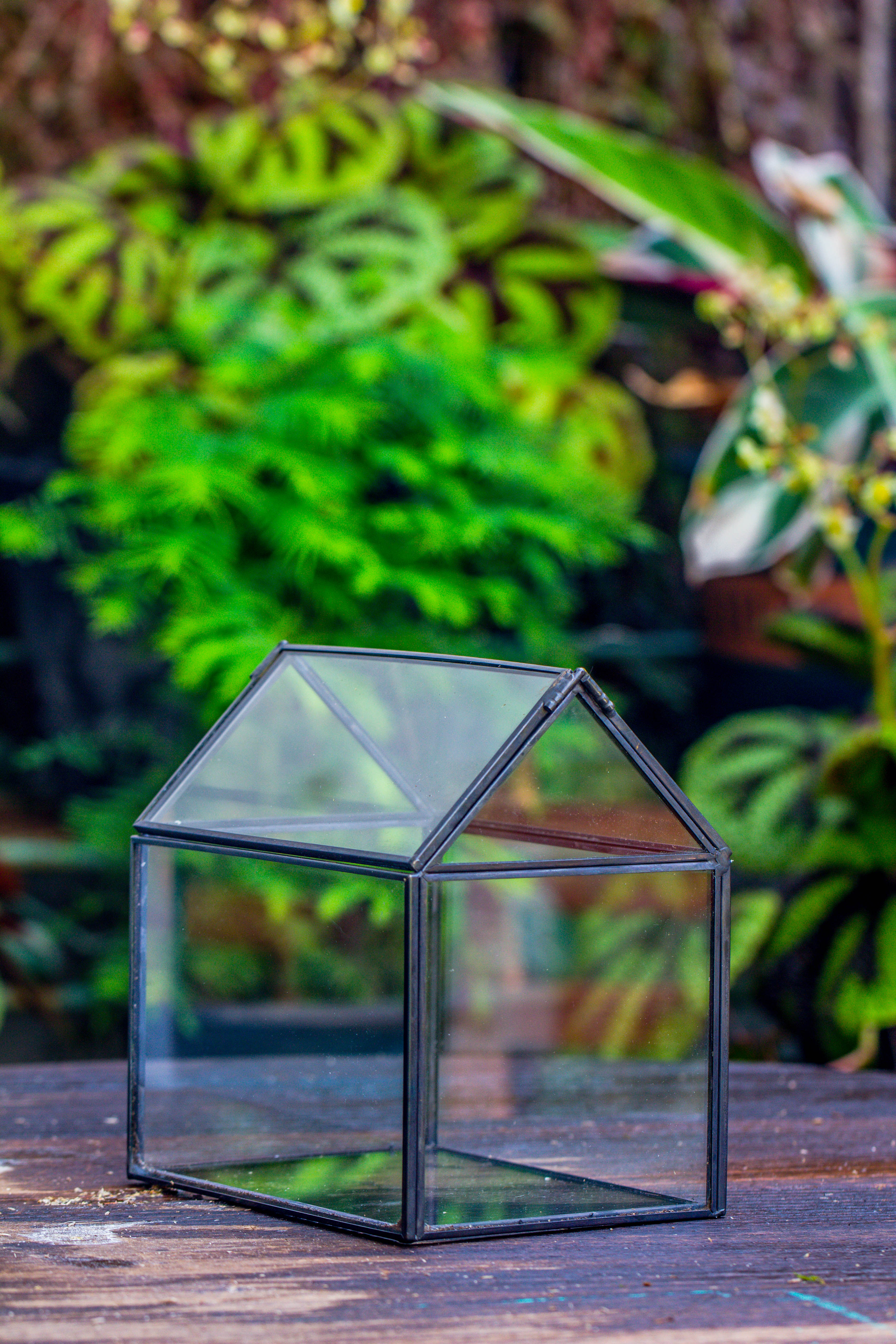 Handmade Black Gold Glass Box Geometric Terrarium with Lid for Planter Container Storage Case Gift - NCYPgarden