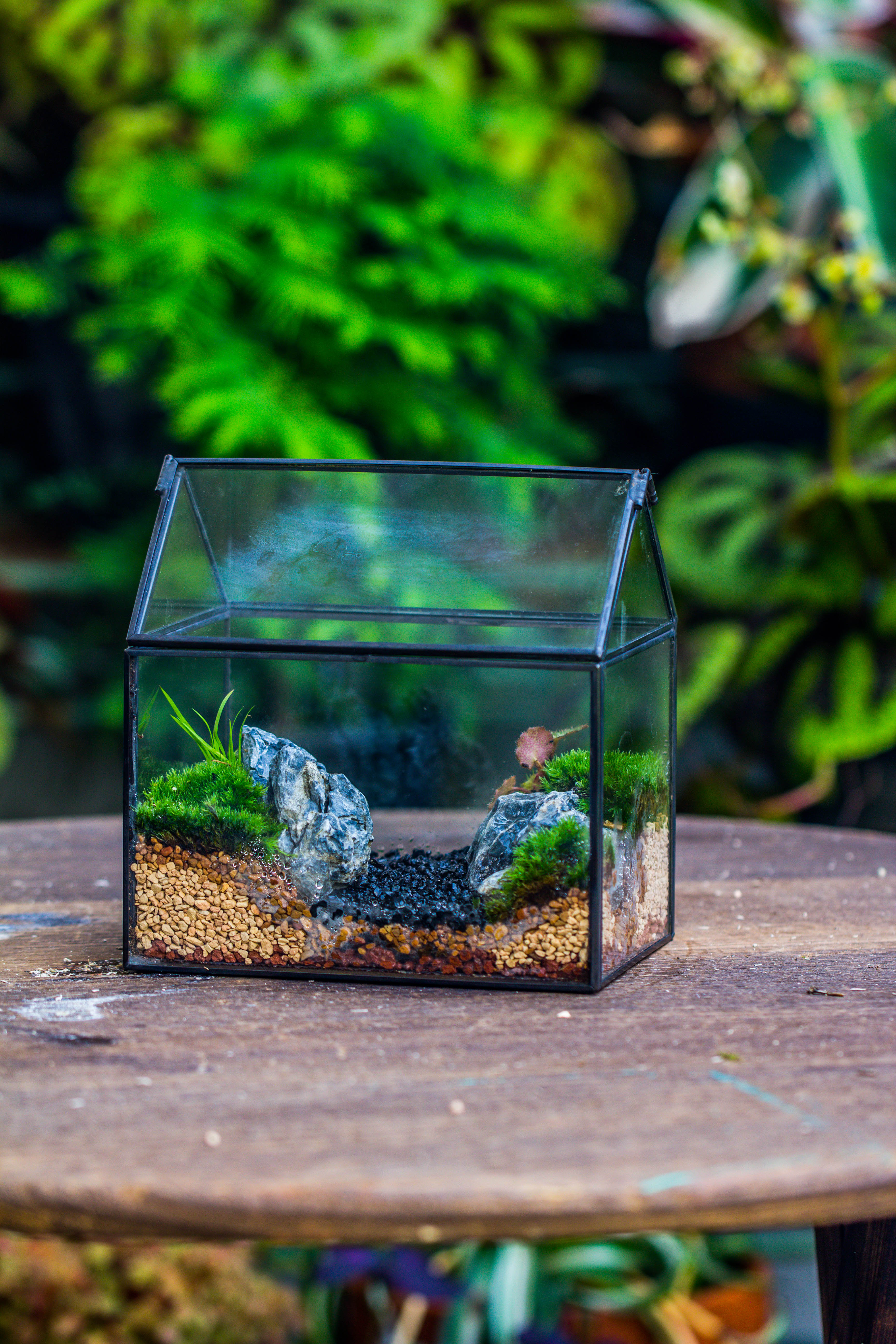 Handmade Black Gold Glass Box Geometric Terrarium with Lid for Planter Container Storage Case Gift - NCYPgarden