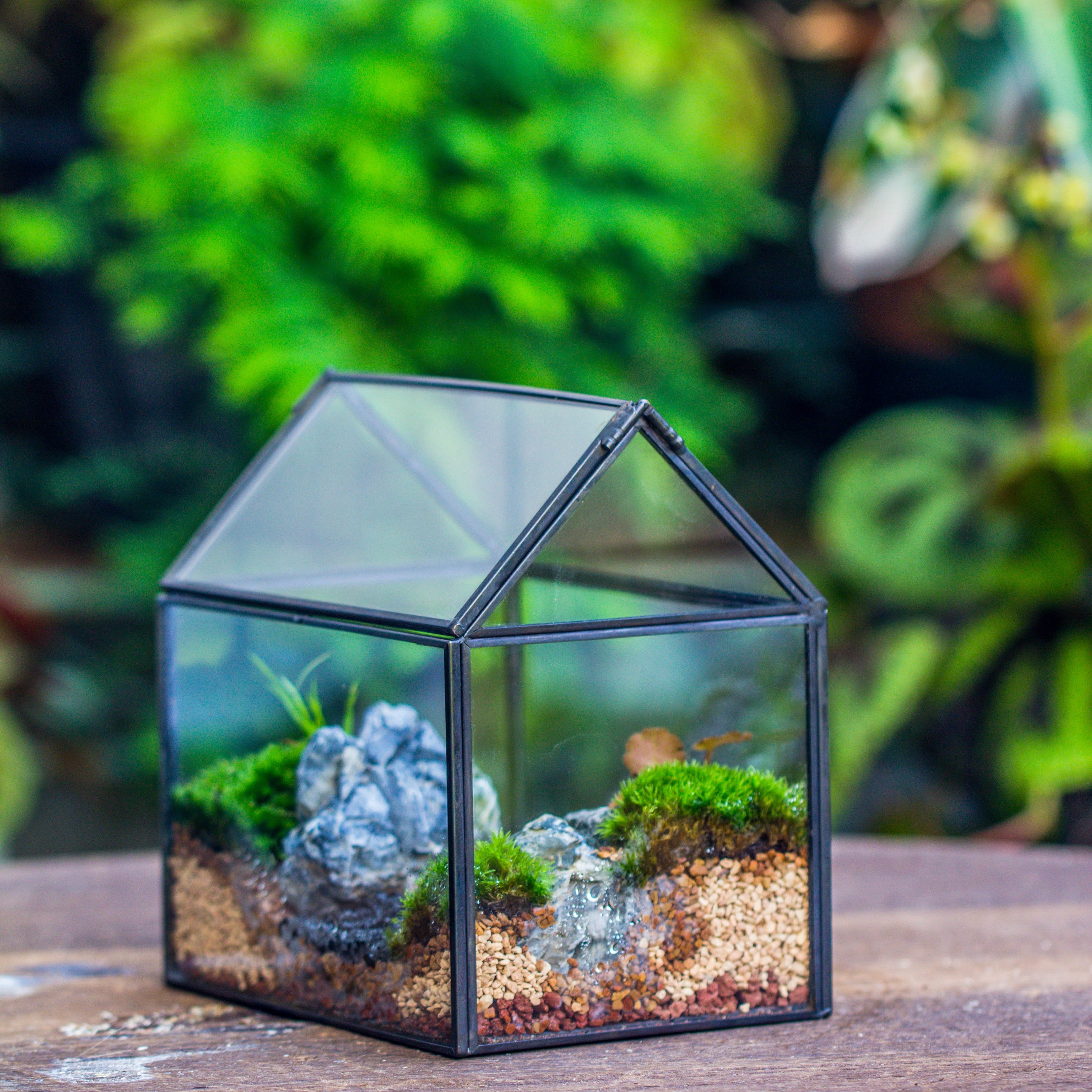 Handmade Black Gold Glass Box Geometric Terrarium with Lid for Planter Container Storage Case Gift - NCYPgarden