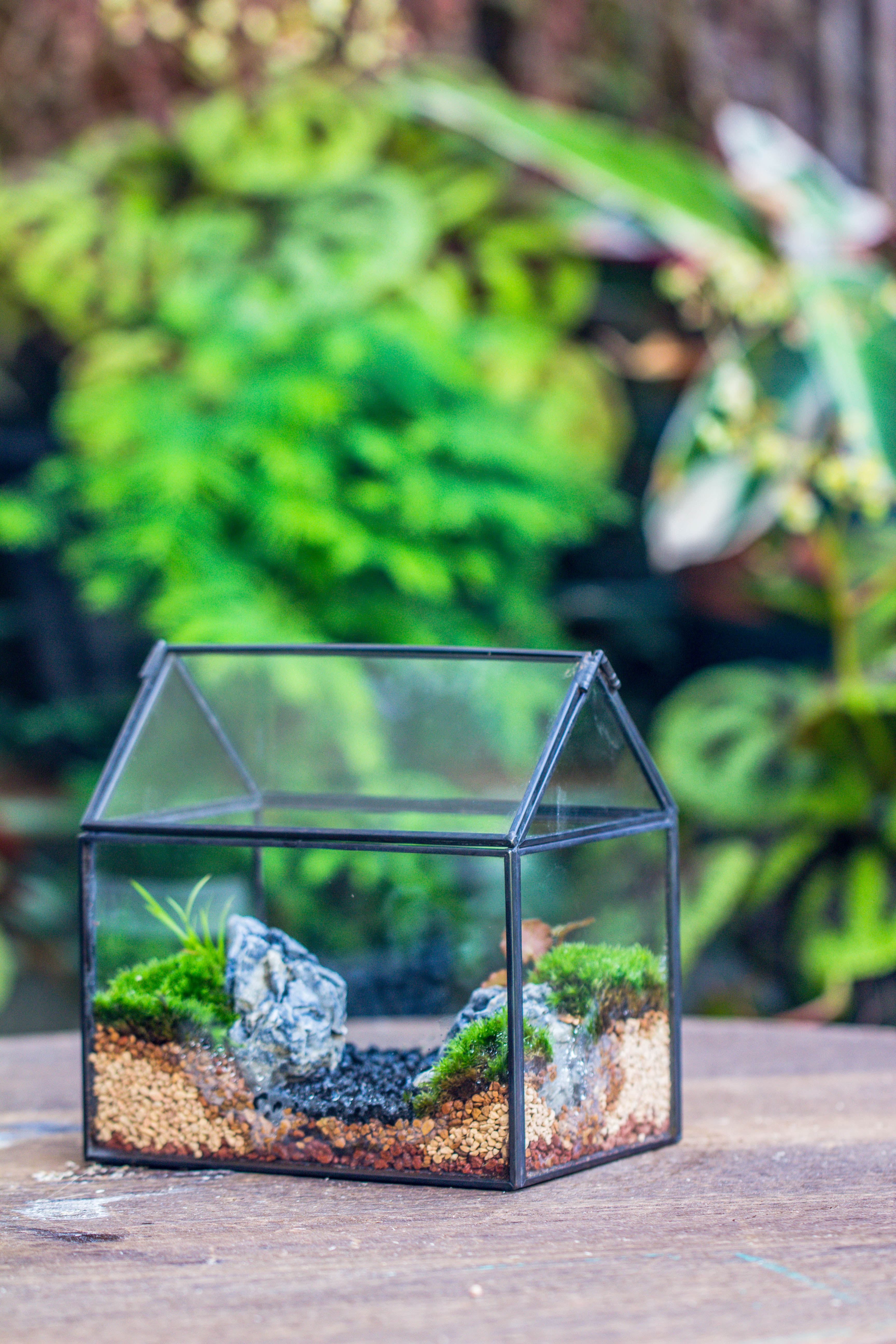 Handmade Black Gold Glass Box Geometric Terrarium with Lid for Planter Container Storage Case Gift - NCYPgarden