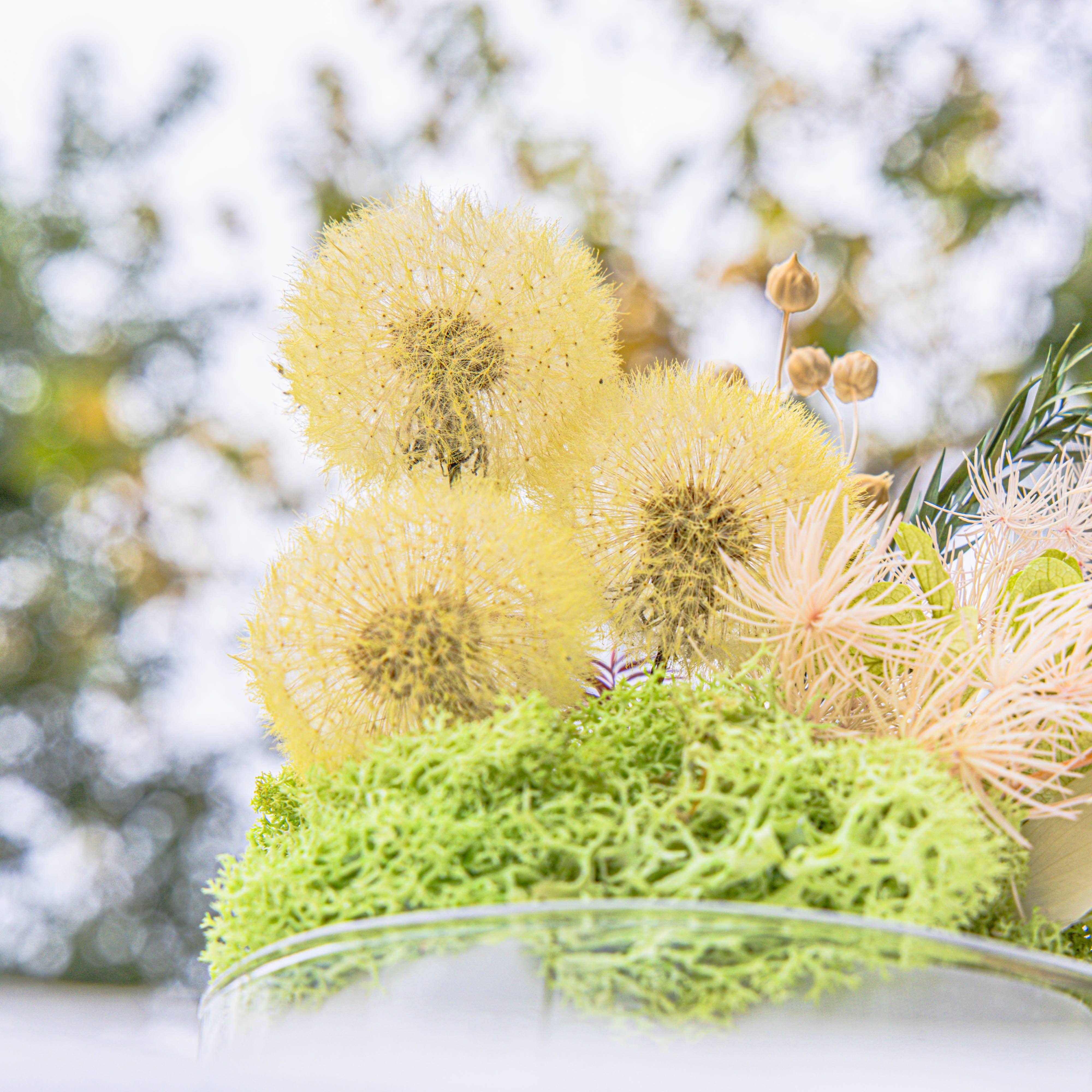 Yellow Presered Dandelion Set 3 pcs Dried Flowers, DIY Material for Bouquet - NCYPgarden