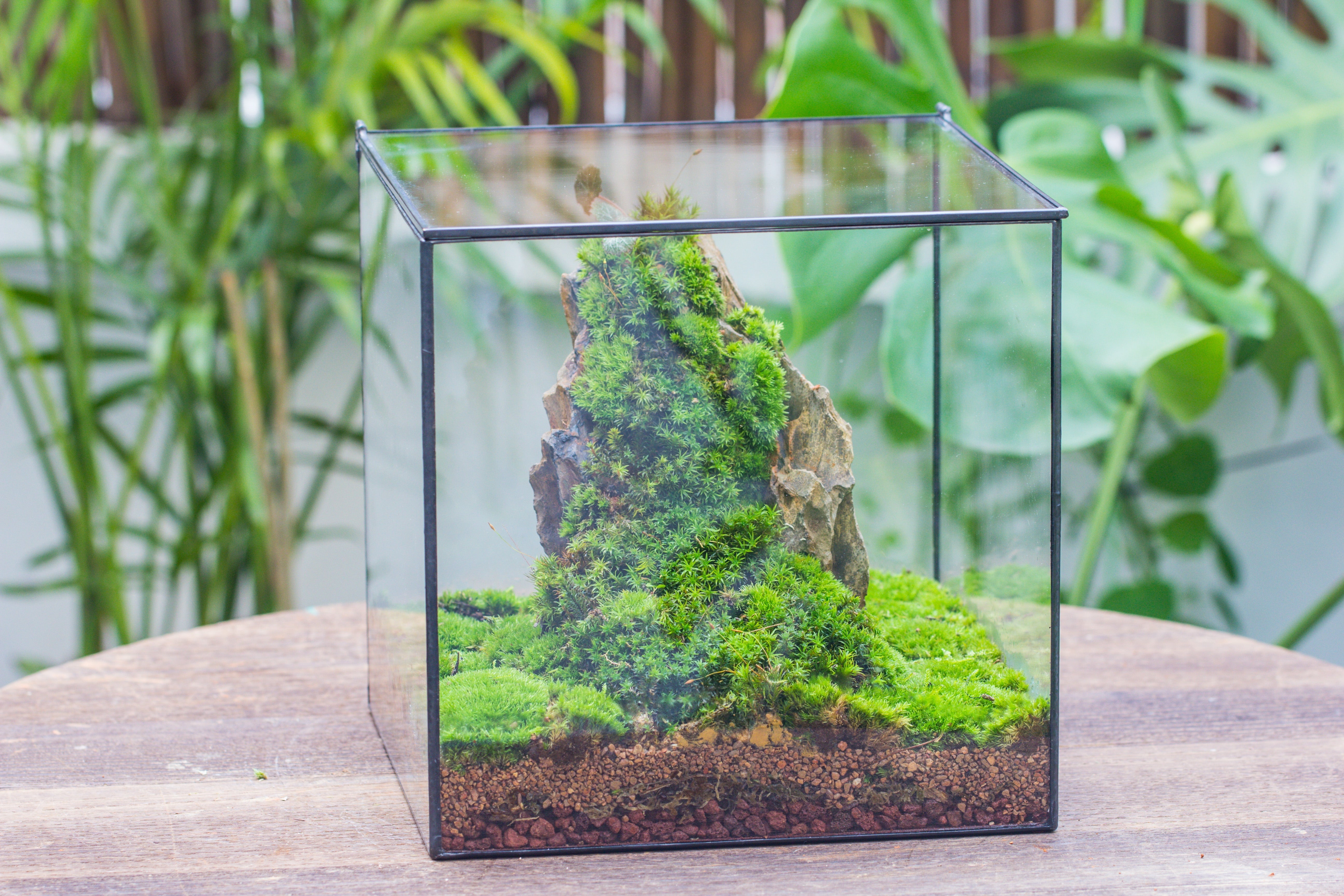 NCYP Basic Rectangle Close Geometric Glass Tin Terrarium, Planter  Multiple Size for Moss Wall, Fern, Landscape multiple size, No plants - NCYPgarden