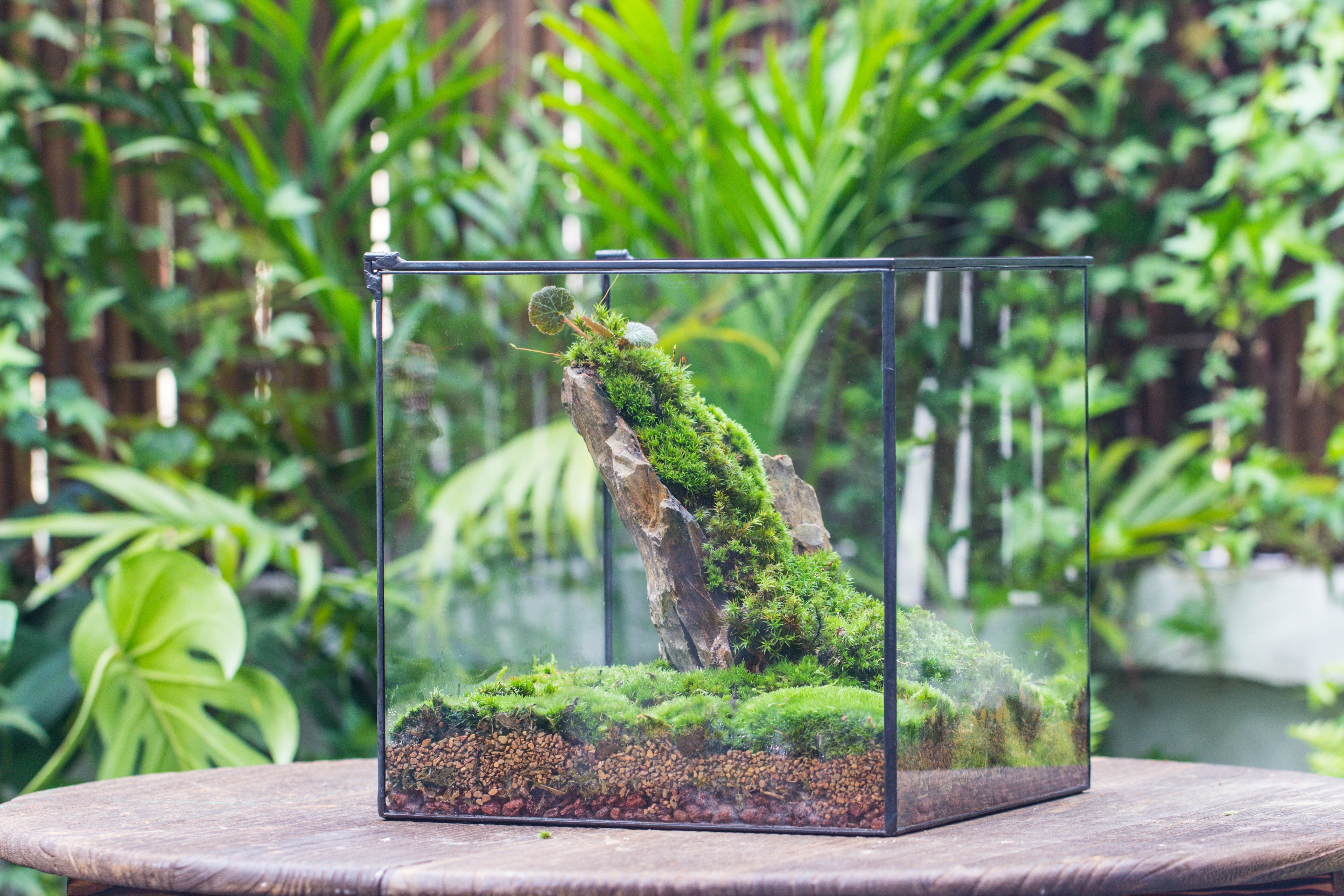 NCYP Basic Rectangle Close Geometric Glass Tin Terrarium, Planter  Multiple Size for Moss Wall, Fern, Landscape multiple size, No plants - NCYPgarden