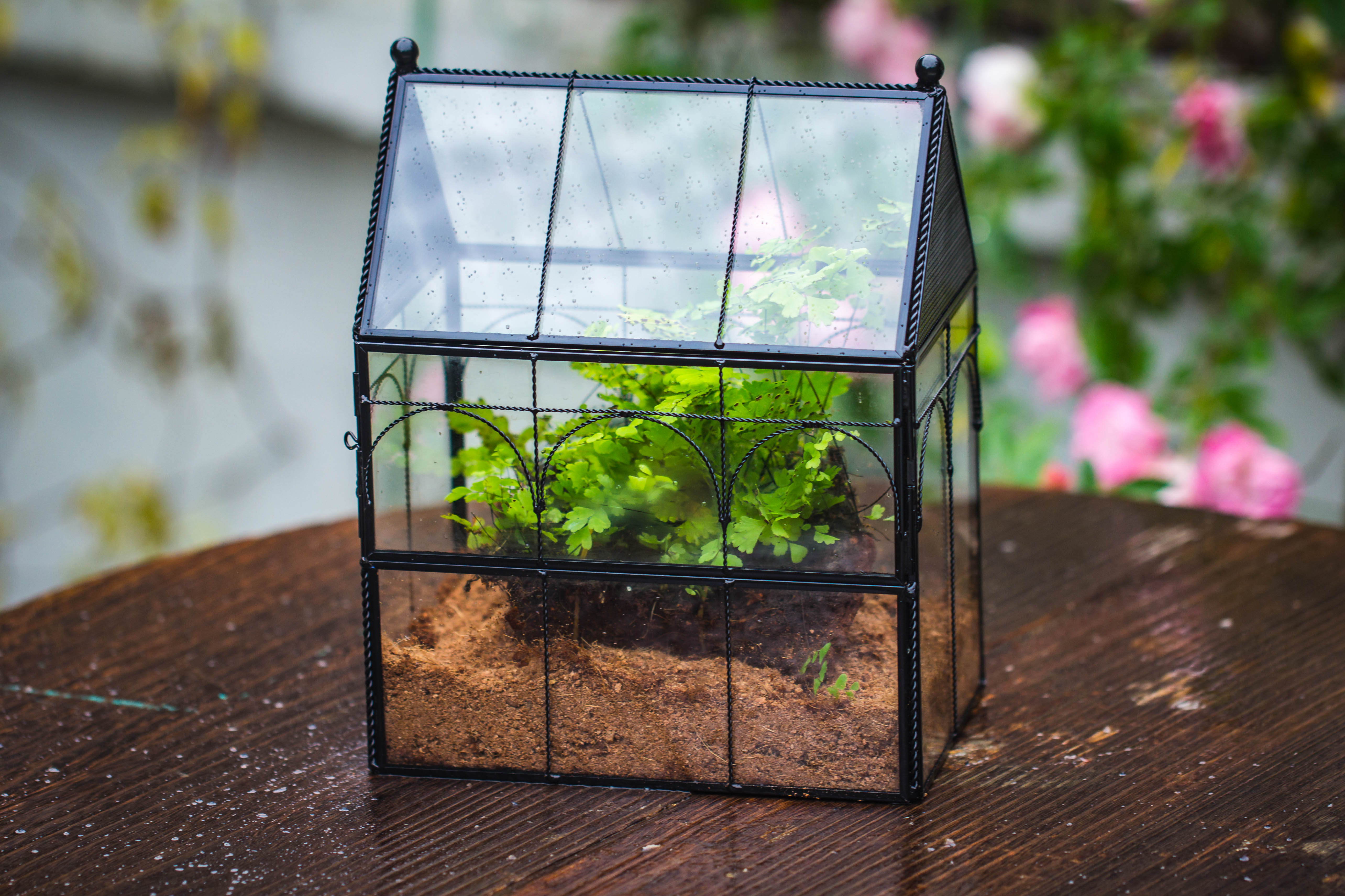 NCYP Vintage House Shape Tin and Glass Geometric Terrarium, with side door, with Mesh / vent holes for small Insects Pet - NCYPgarden