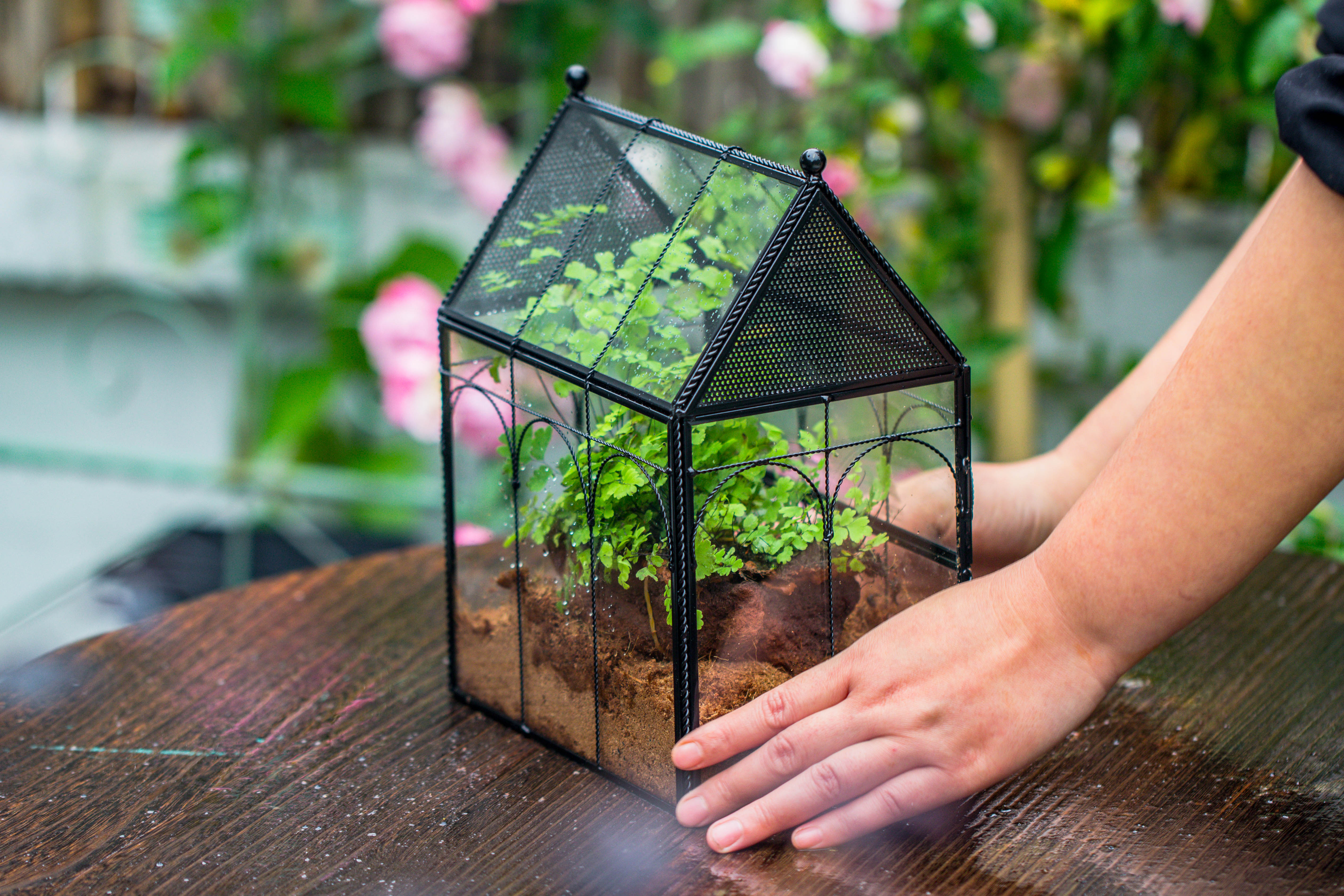 NCYP Vintage House Shape Tin and Glass Geometric Terrarium, with side door, with Mesh / vent holes for small Insects Pet - NCYPgarden