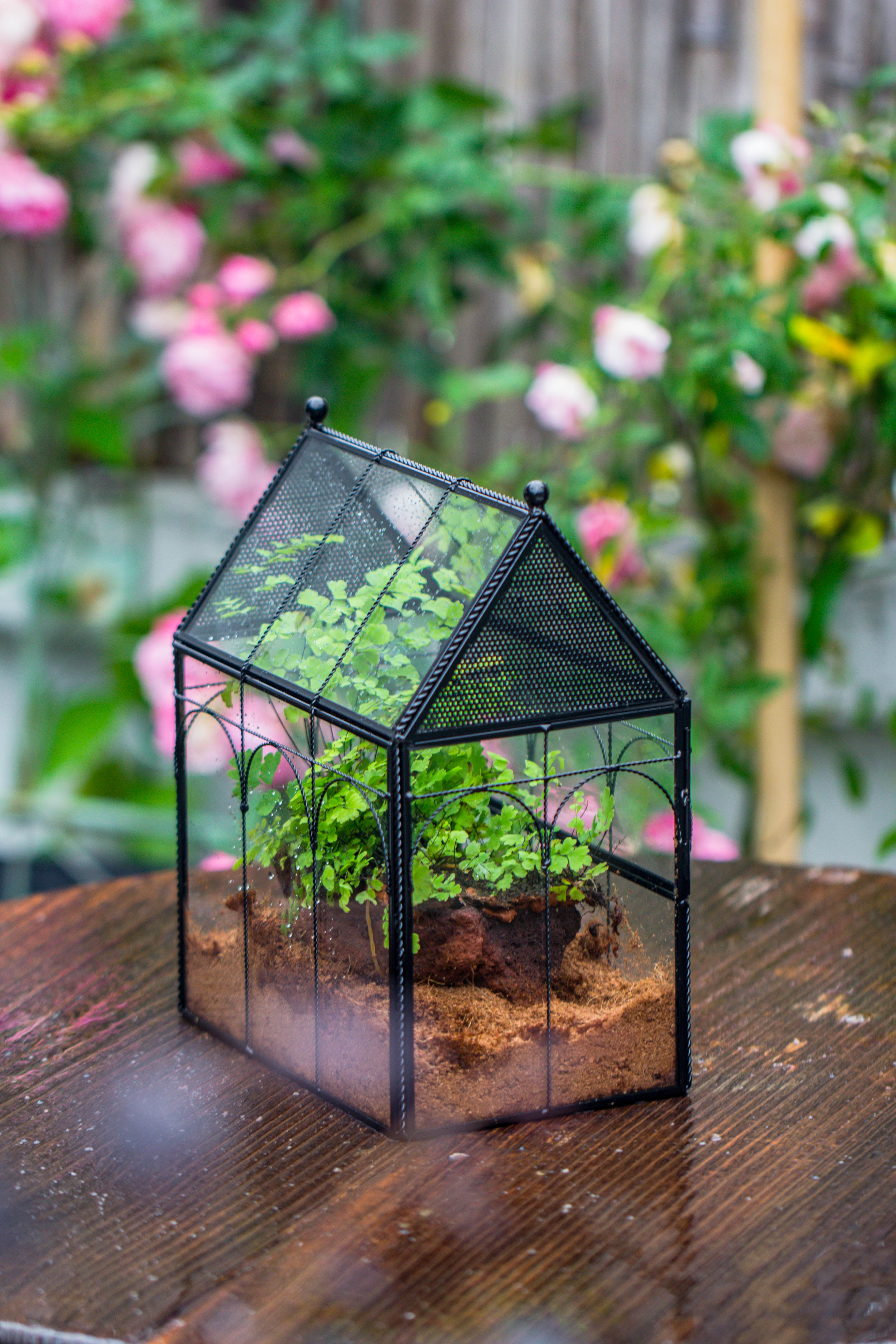 NCYP Vintage House Shape Tin and Glass Geometric Terrarium, with side door, with Mesh / vent holes for small Insects Pet - NCYPgarden