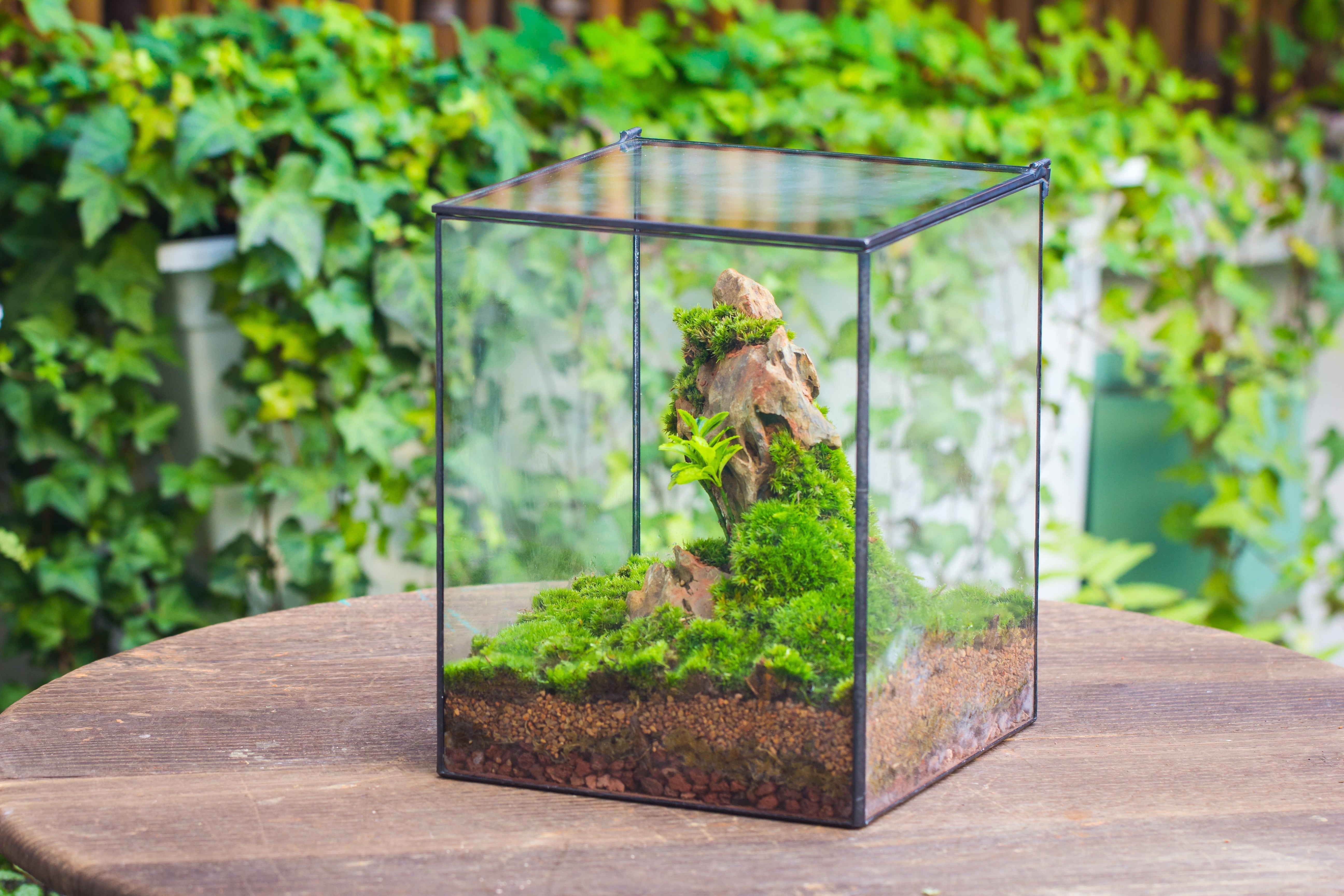 NCYP Basic Rectangle Close Geometric Glass Tin Terrarium, Planter  Multiple Size for Moss Wall, Fern, Landscape multiple size, No plants - NCYPgarden