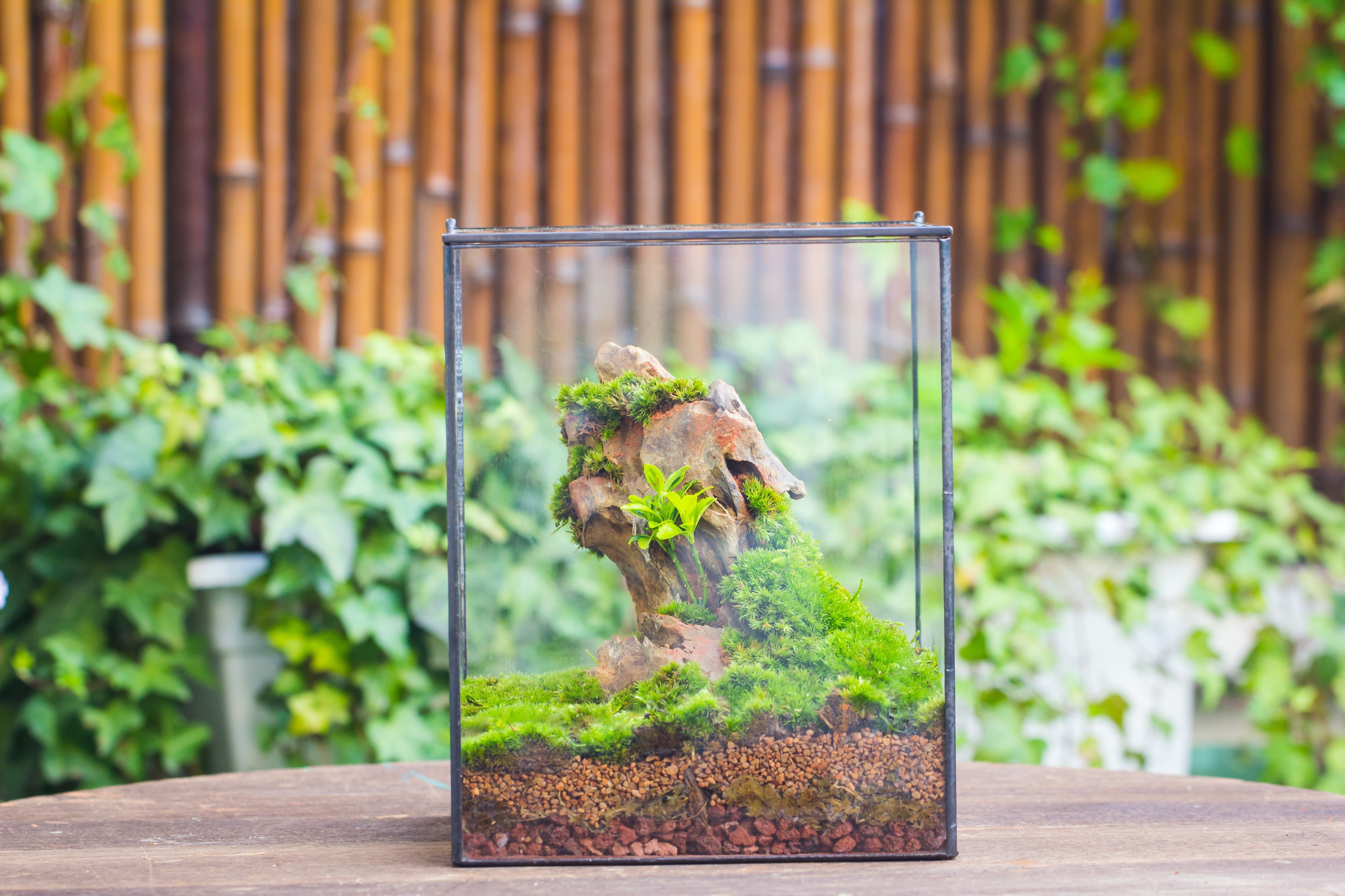 NCYP Basic Rectangle Close Geometric Glass Tin Terrarium, Planter  Multiple Size for Moss Wall, Fern, Landscape multiple size, No plants - NCYPgarden