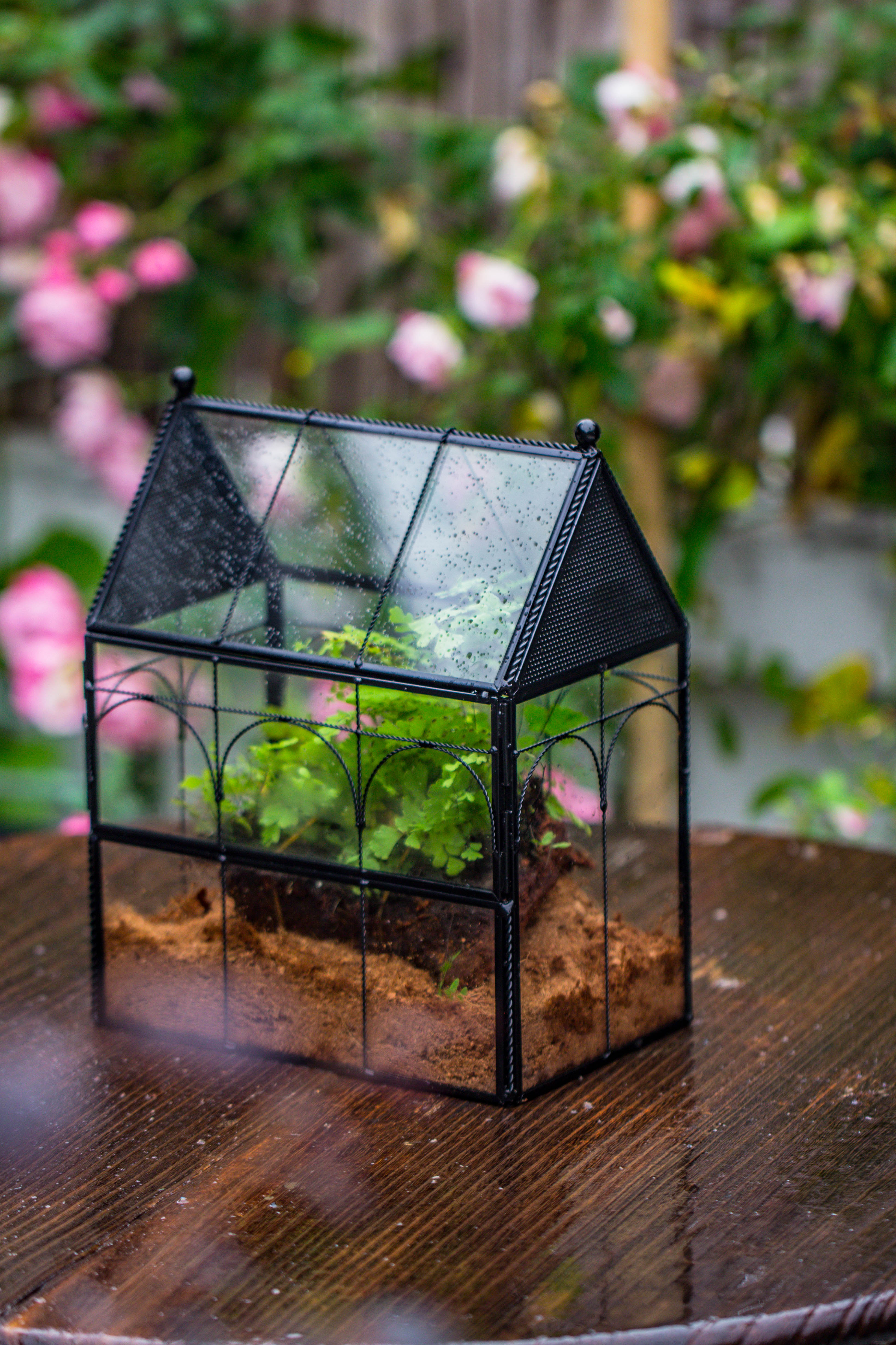 NCYP Vintage House Shape Tin and Glass Geometric Terrarium, with side door, with Mesh / vent holes for small Insects Pet - NCYPgarden