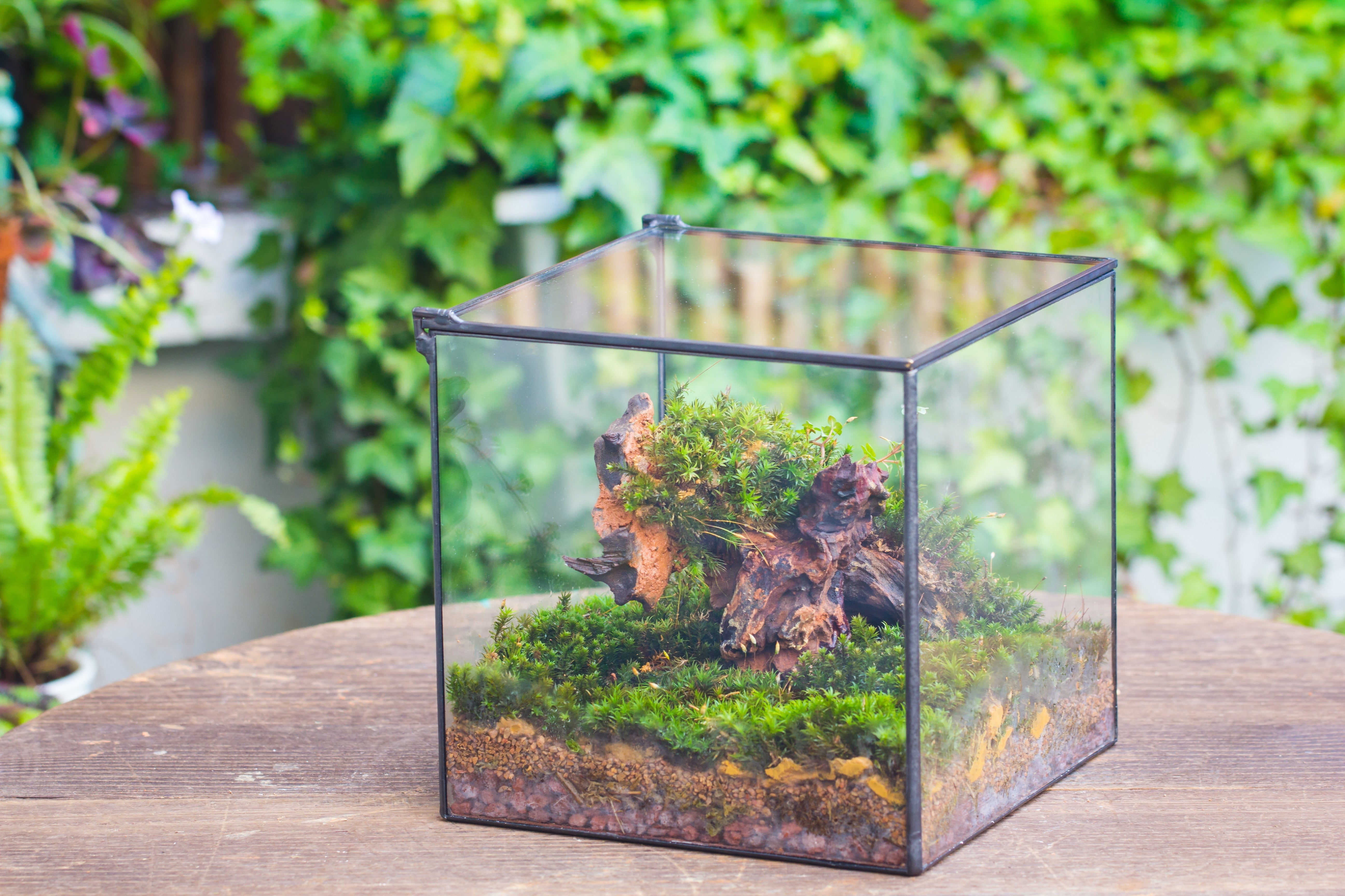 NCYP Basic Rectangle Close Geometric Glass Tin Terrarium, Planter  Multiple Size for Moss Wall, Fern, Landscape multiple size, No plants - NCYPgarden