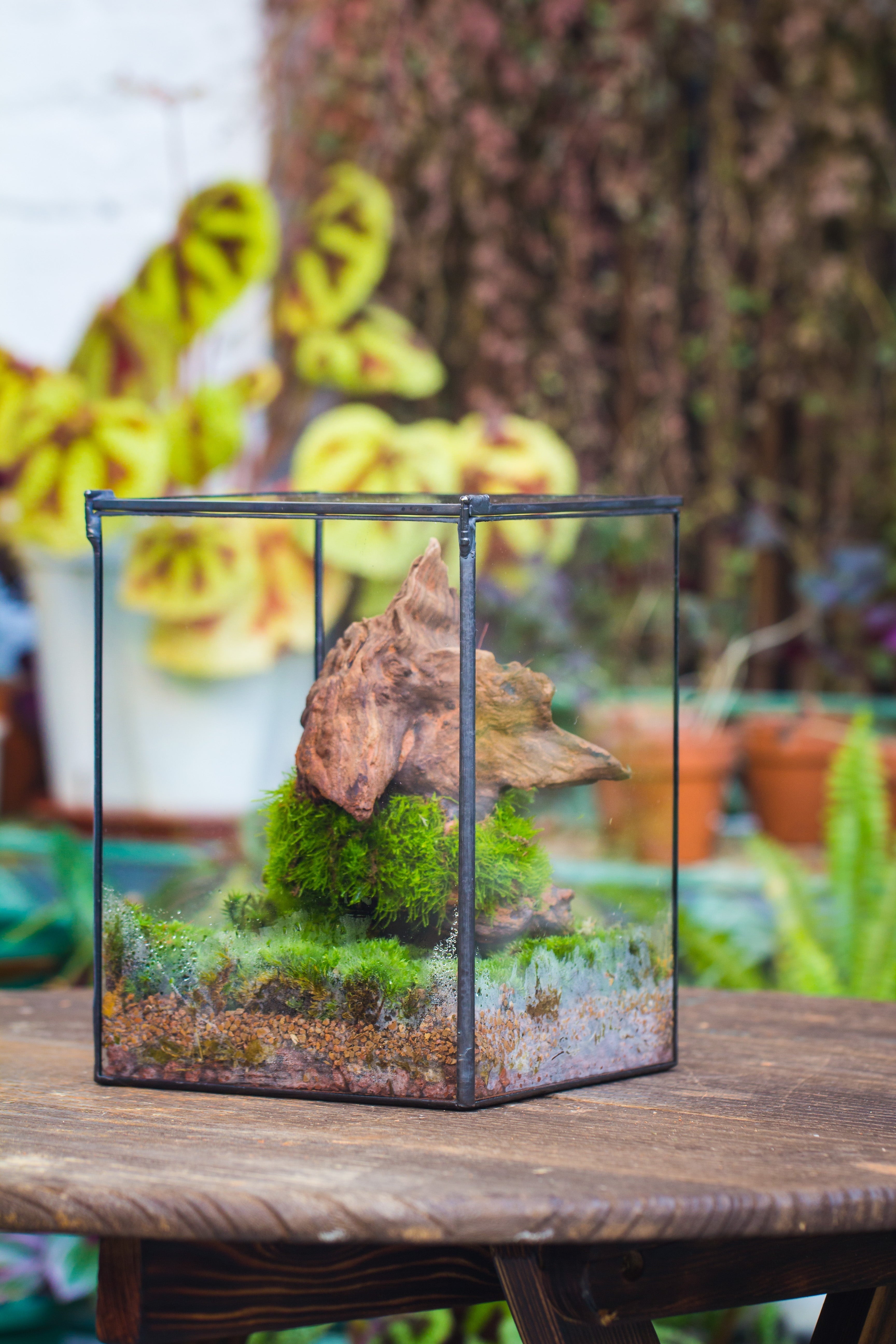 NCYP Basic Rectangle Close Geometric Glass Tin Terrarium, Planter  Multiple Size for Moss Wall, Fern, Landscape multiple size, No plants - NCYPgarden