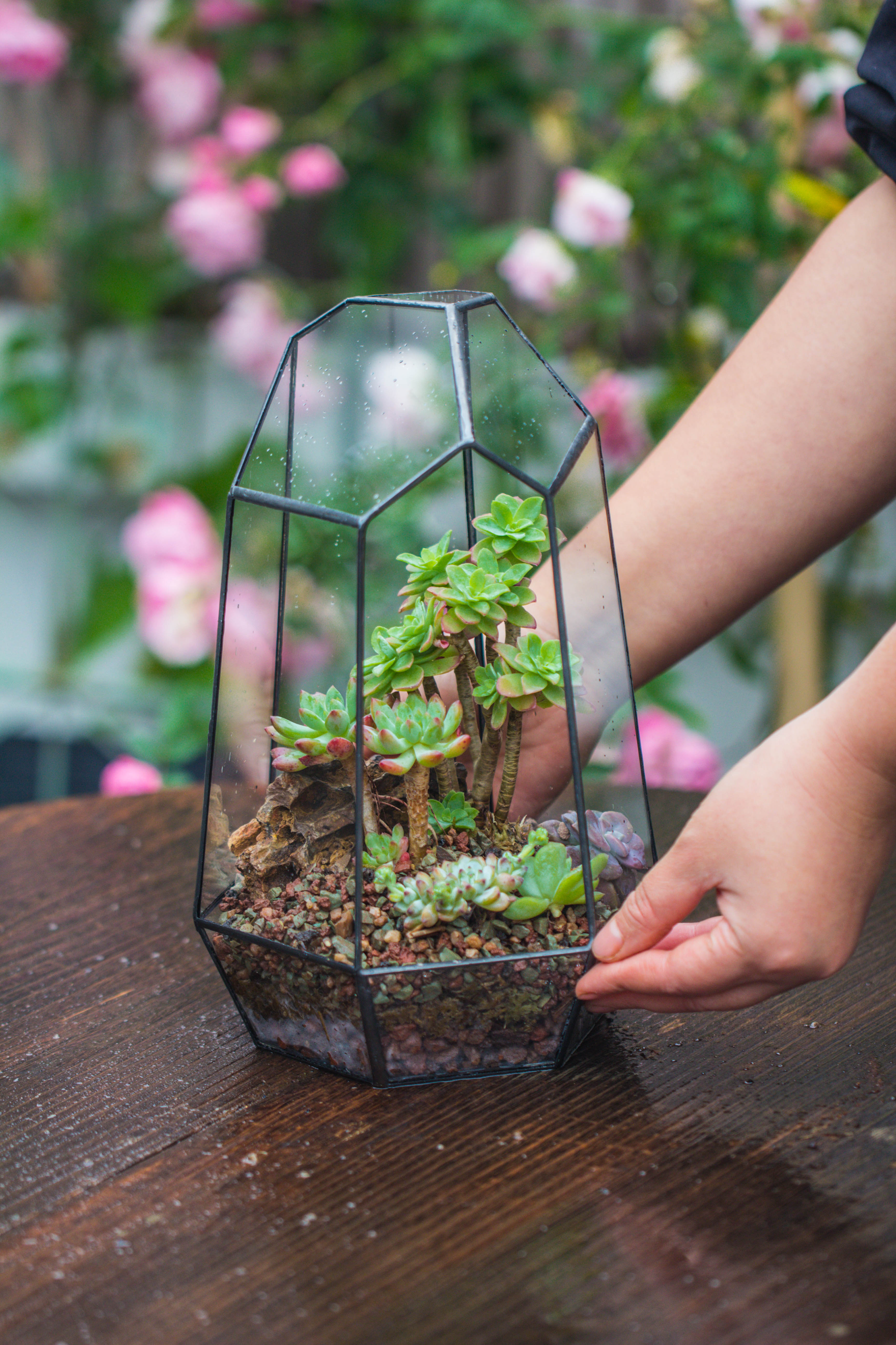 Handmade Irregular Tall Black Glass Geometric Terrarium Various Size for Succulents Moss Airplants - NCYPgarden