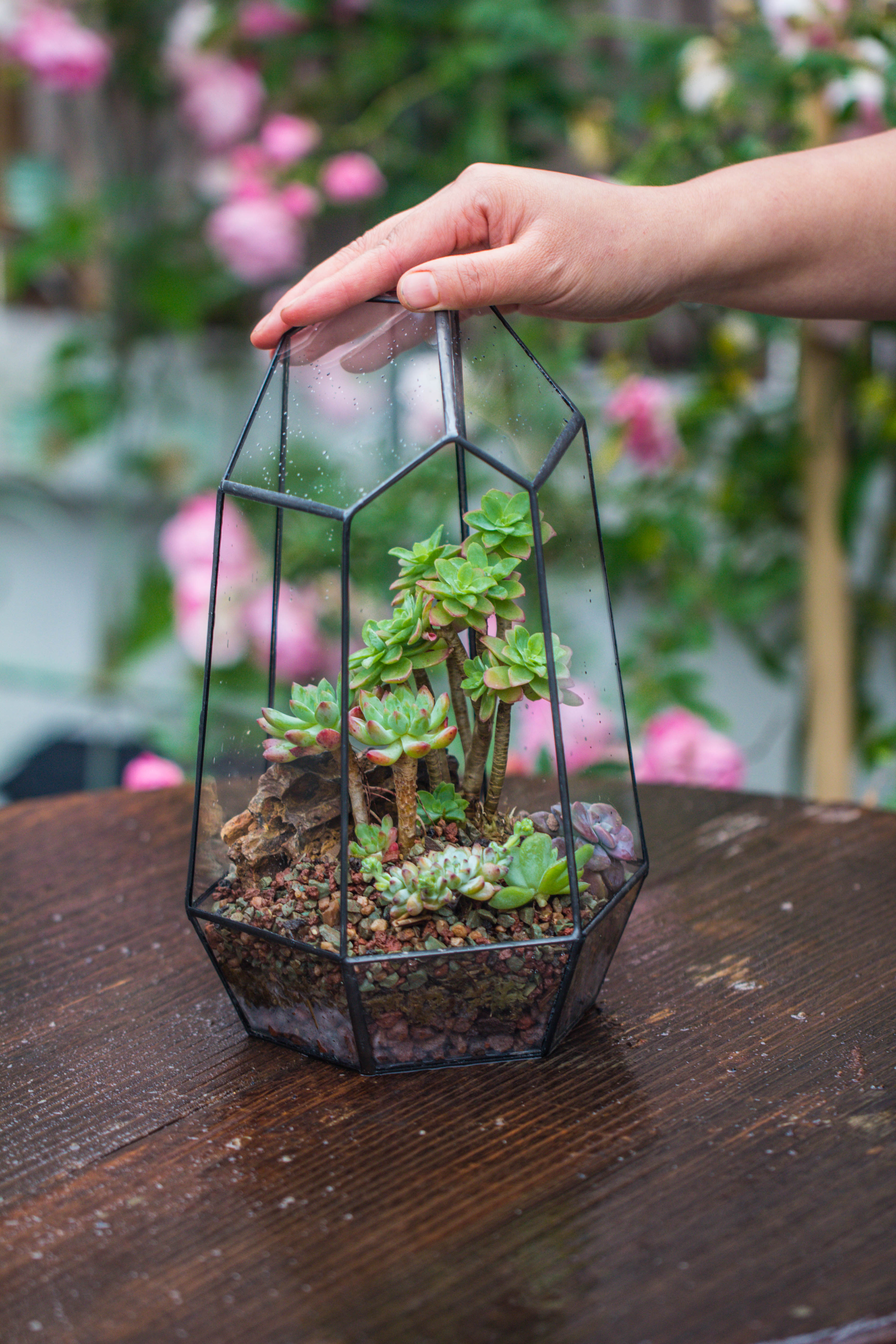 Handmade Irregular Tall Black Glass Geometric Terrarium Various Size for Succulents Moss Airplants - NCYPgarden