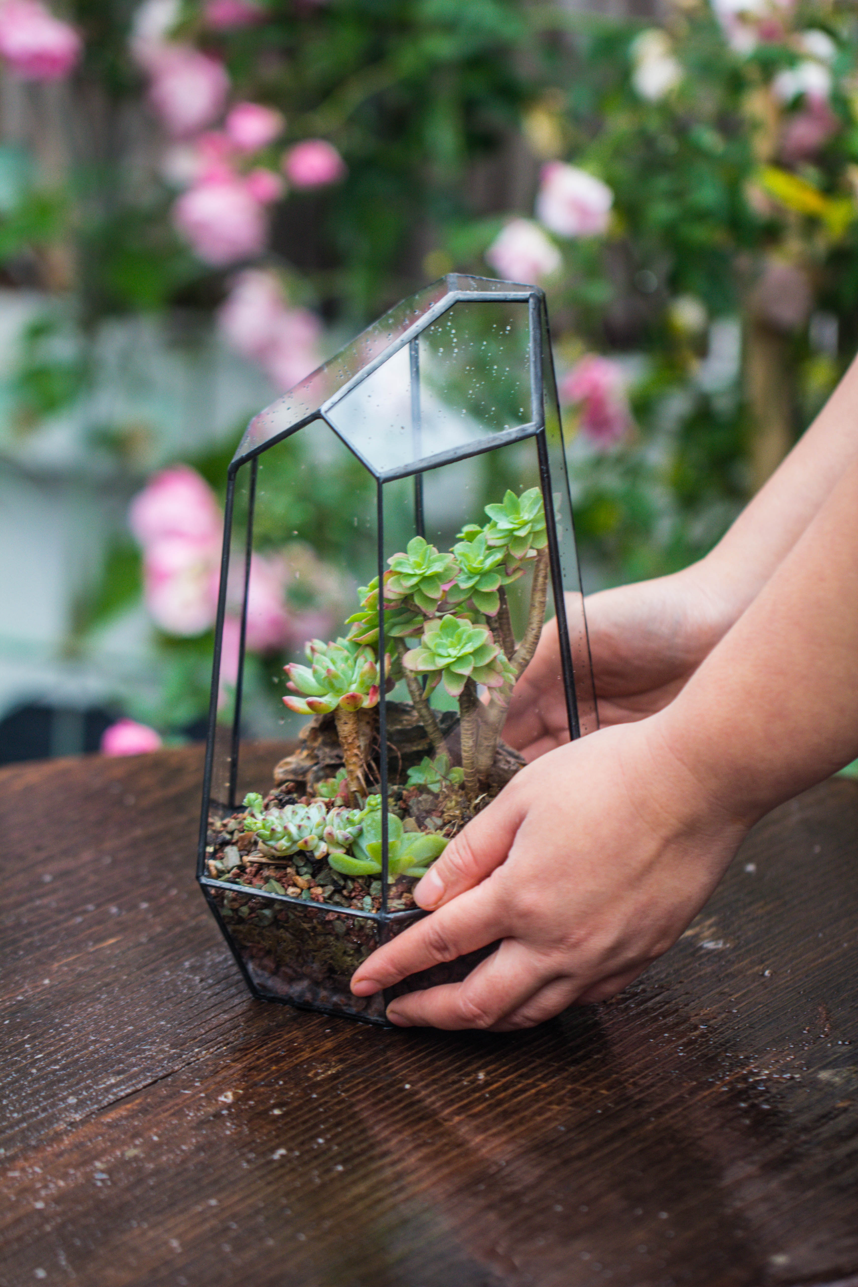 Handmade Irregular Tall Black Glass Geometric Terrarium Various Size for Succulents Moss Airplants - NCYPgarden