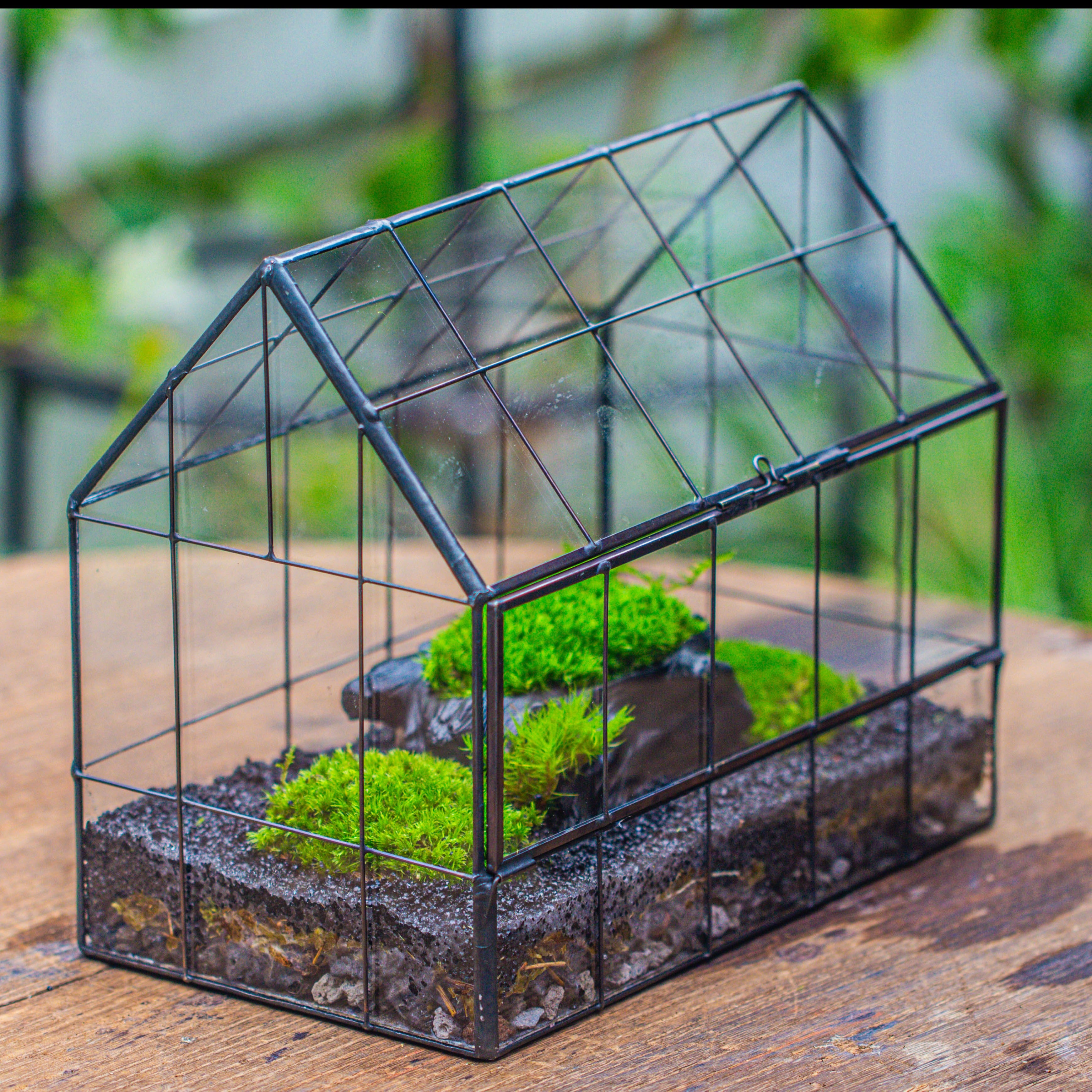 Black Theme Moss and  Black Tree Stump Vintage Greenhgouse  Tin and Glass Terrarium Kit - NCYPgarden