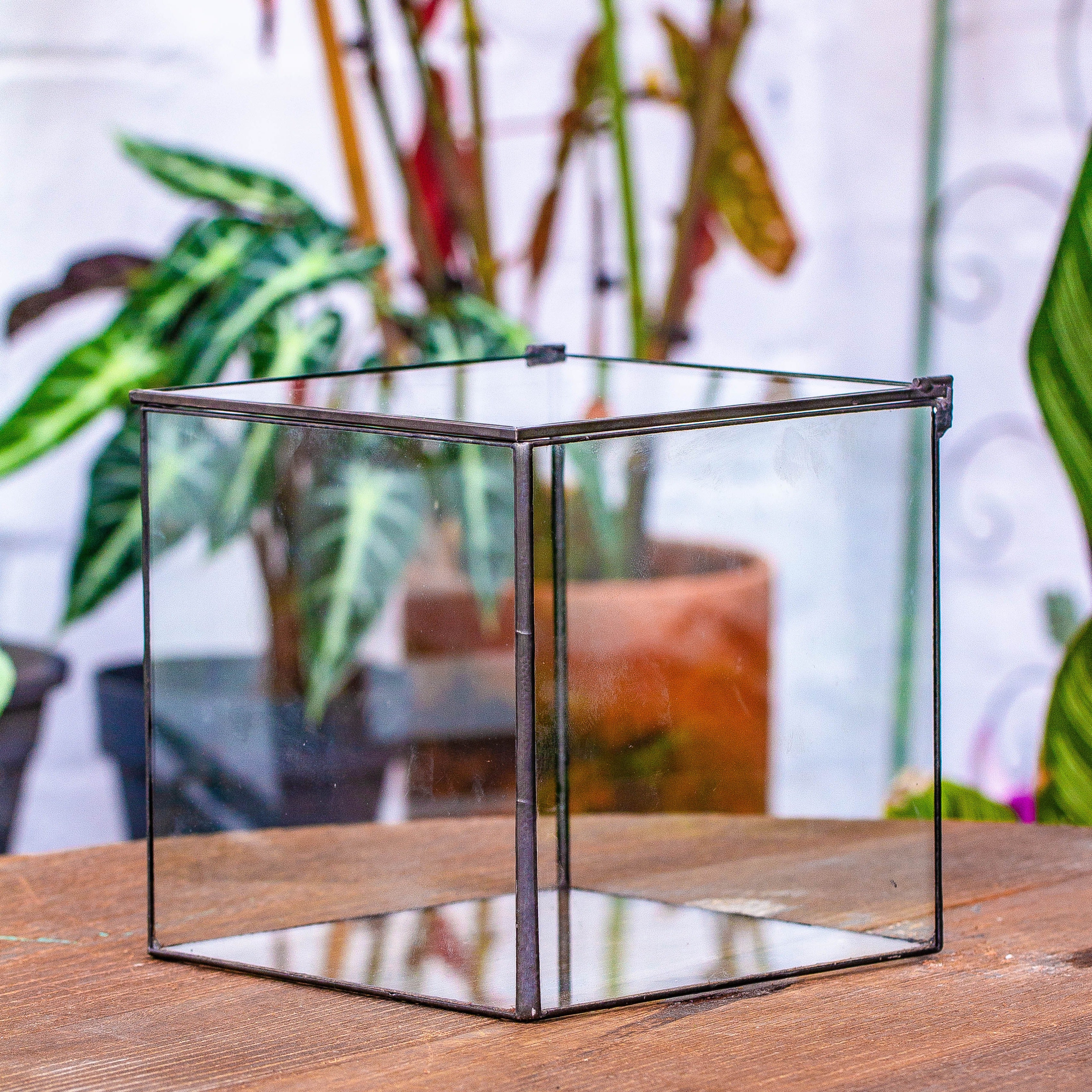 NCYP Watertight Close Cube 7" Geometric Glass Tin Terrarium, for small waterpond, moss landscape, Live Miniature, water pond, landscape - NCYPgarden