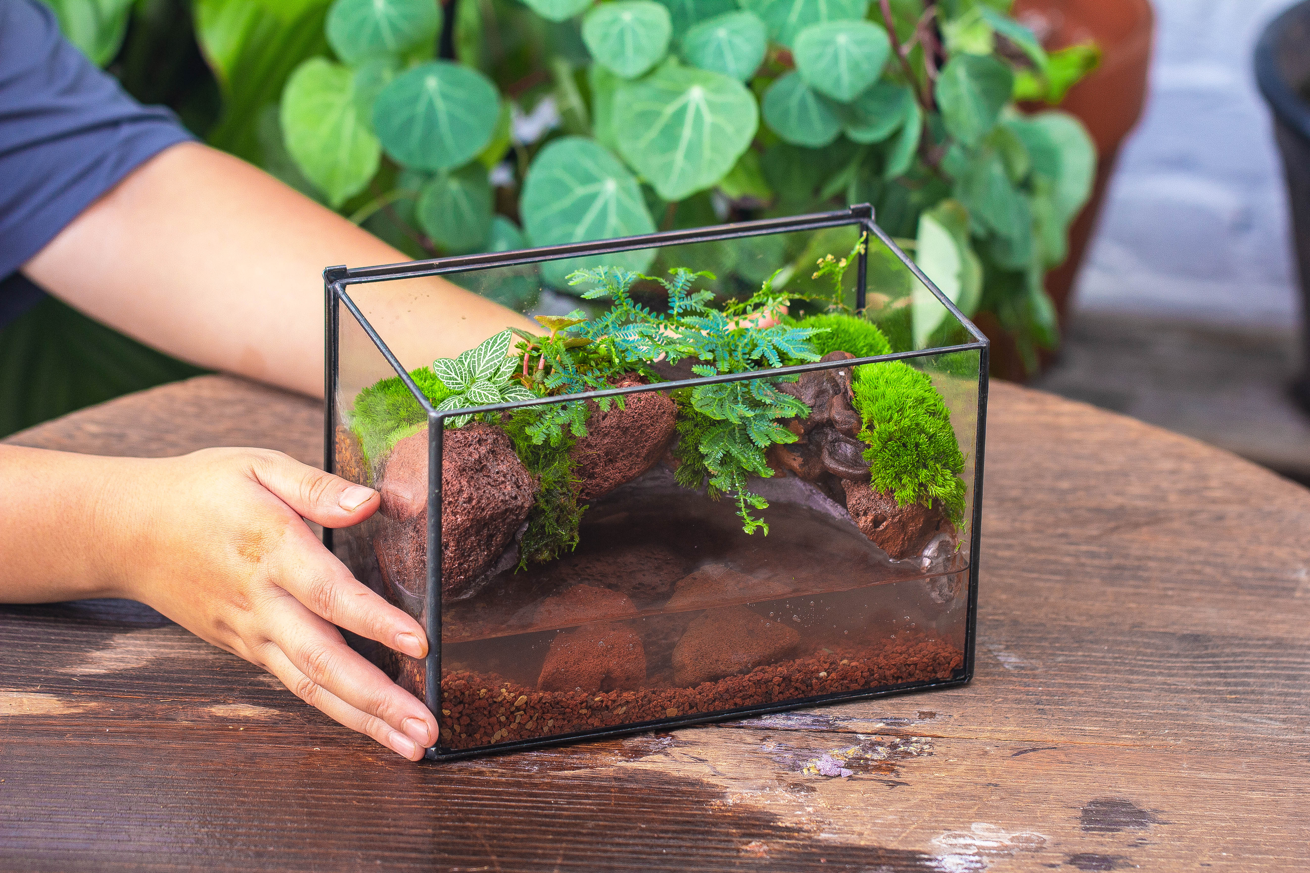 NCYP Watertight Close Rectangle Geometric Glass Tin Terrarium, for small waterpond, moss landscape, Live Miniature, water pond, landscape - NCYPgarden