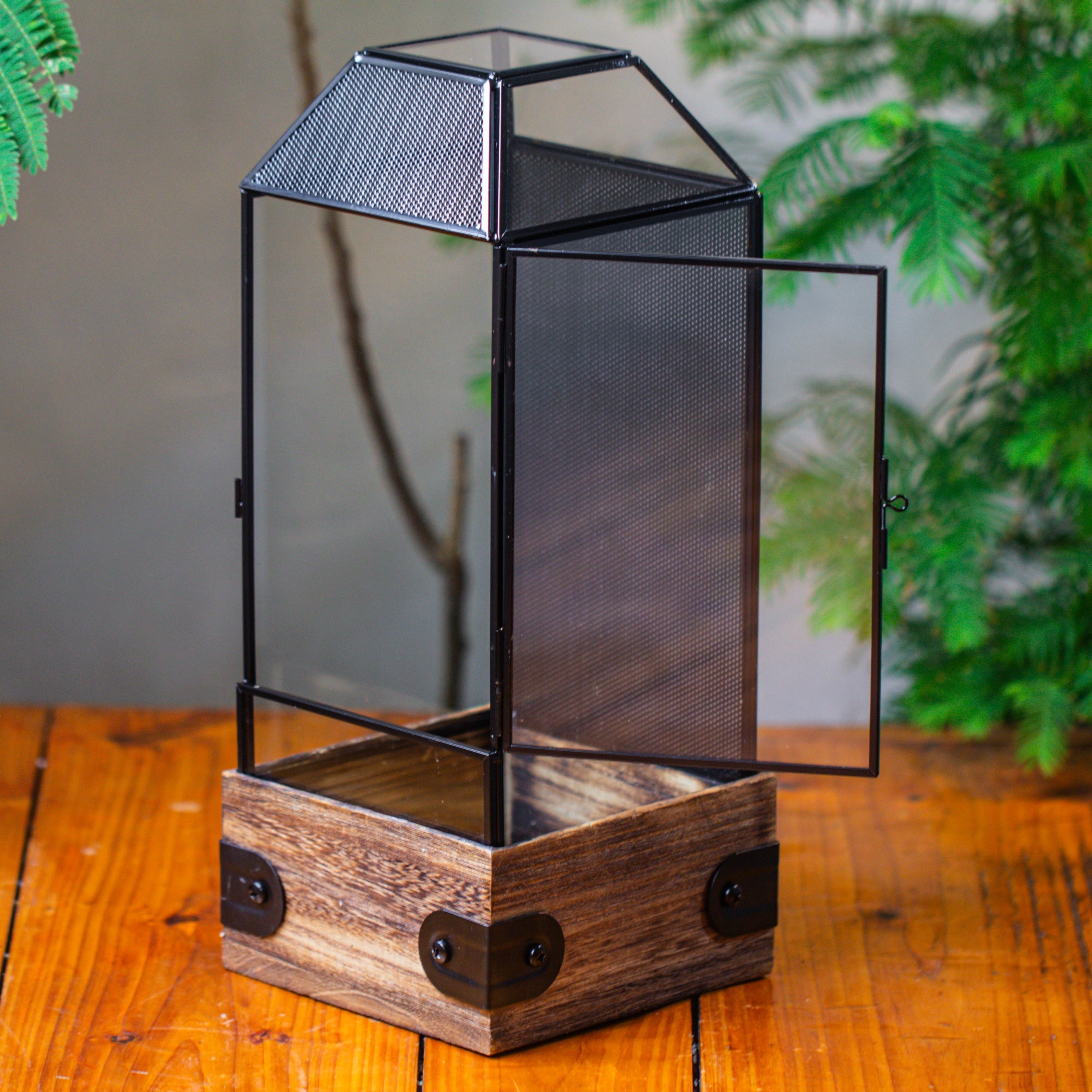 Handmade Glass Terrarium with Wood Base, Geometric Jumping Spider Enclosure, with Mesh Vent, for Plants, Snail, Insects