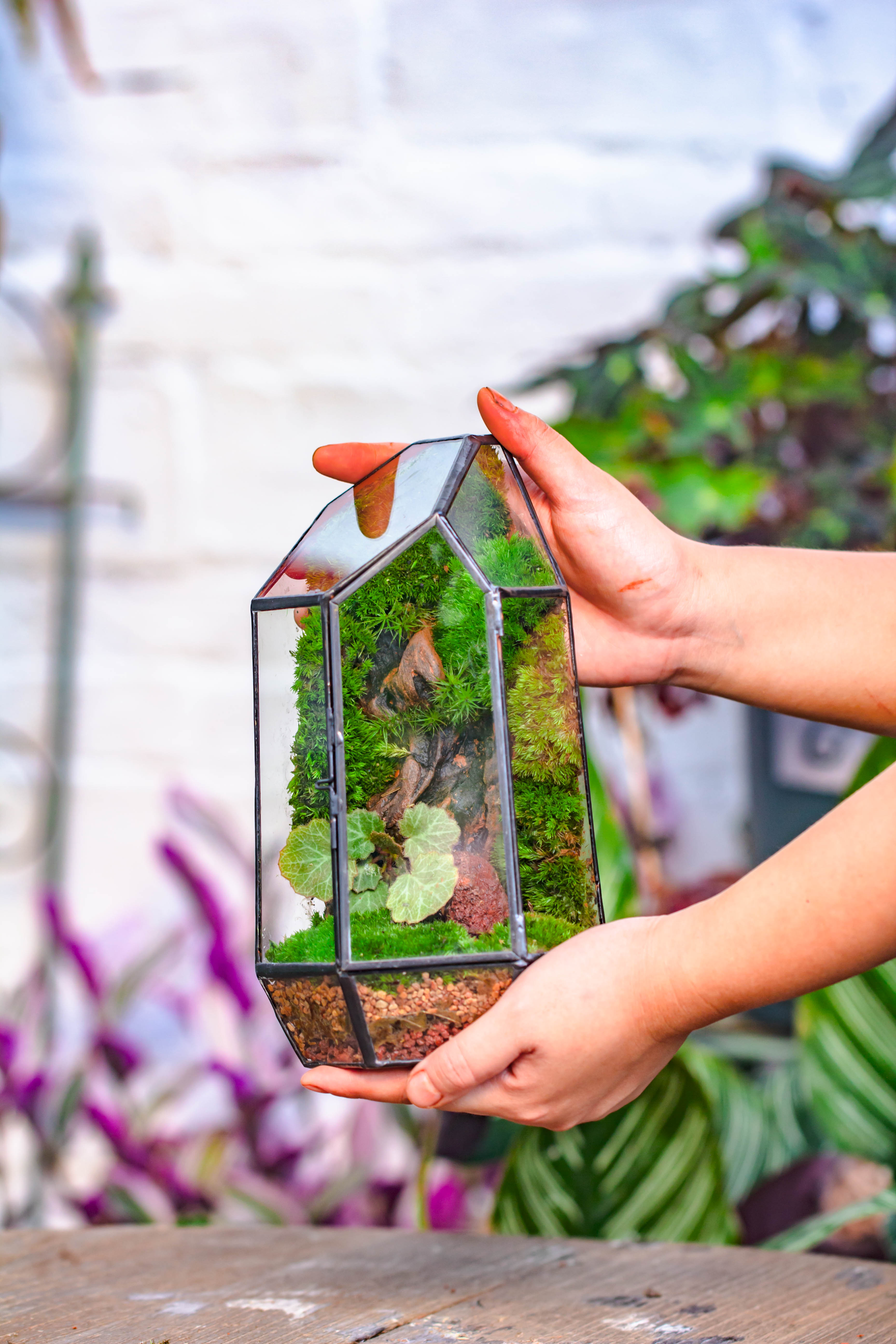 Handmade Black Various Size Irregular Tall Geometric Glass Terrarium Garden Succulents - NCYPgarden