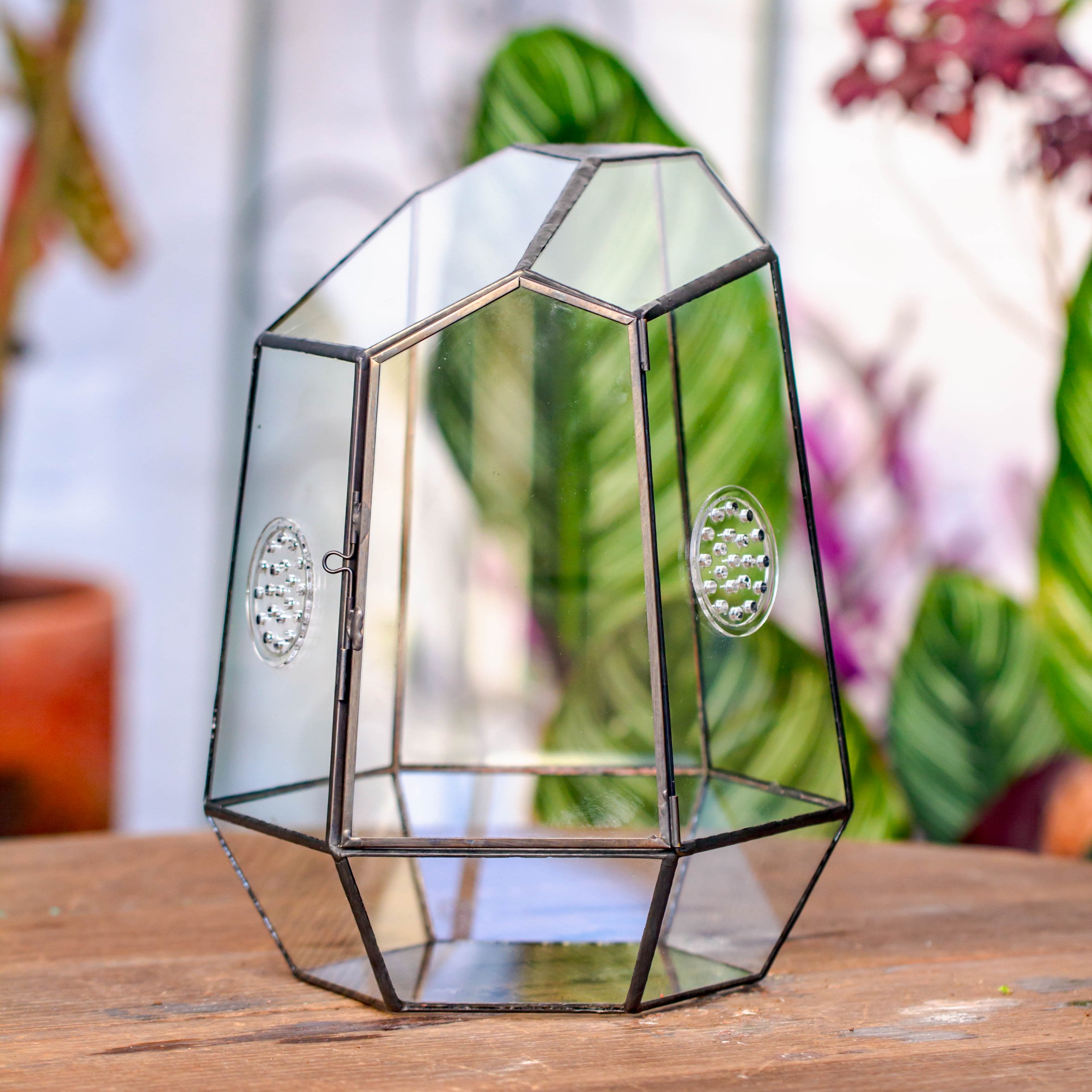 NCYP Close Geometric Glass Terrarium with Door, Tin Sealed Irregular Tall Planter Succulent Cacti Fern Flower Pot - NCYPgarden