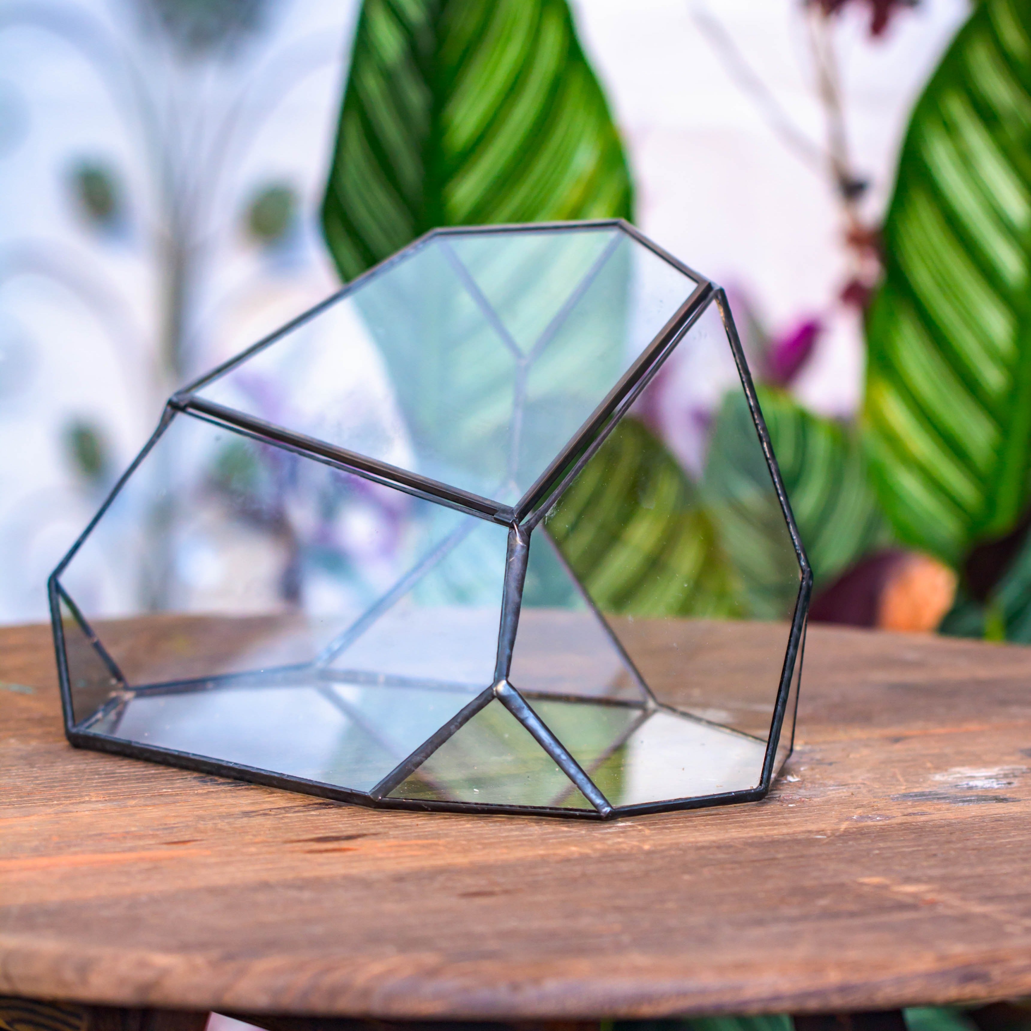 Irregular geometric rock shape glass and tin terrarium, for moss - NCYPgarden