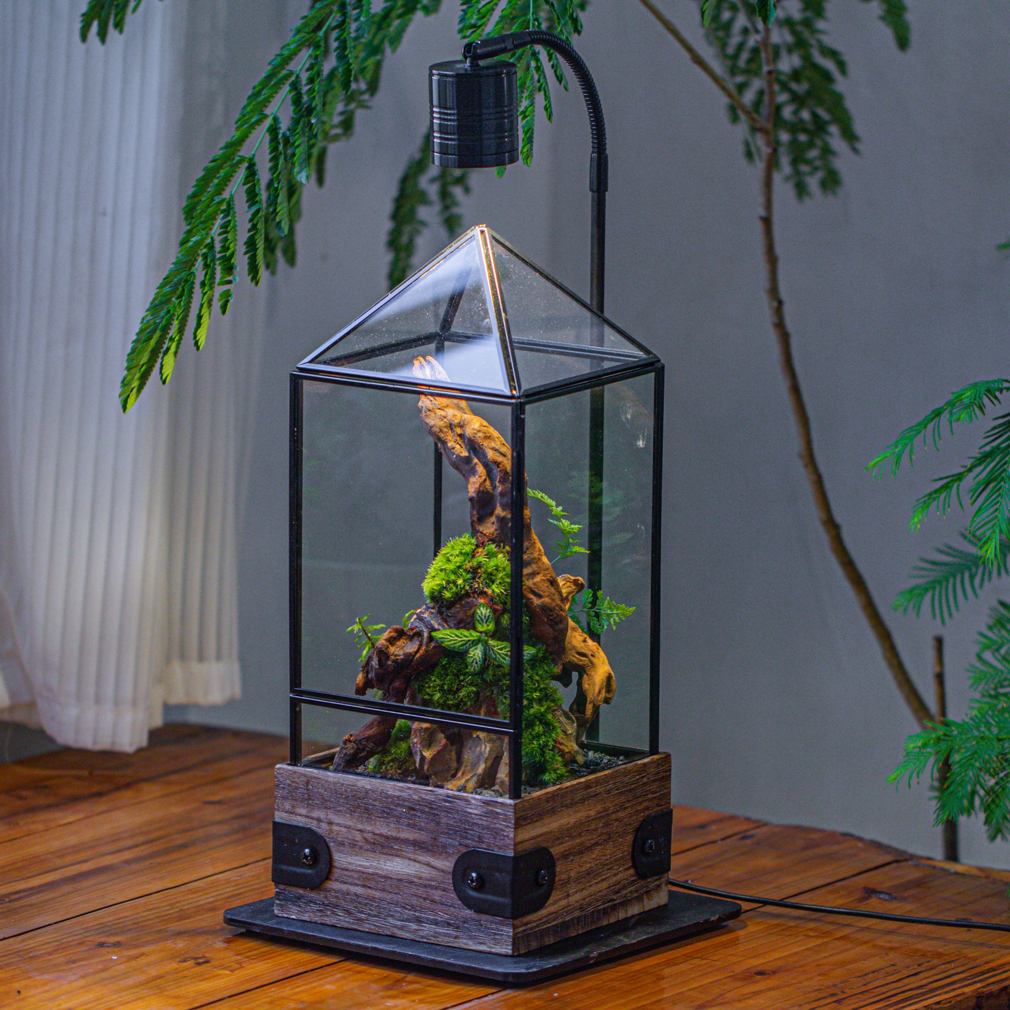 Handmade Glass Terrarium with Wood Base, Pyramid Shape Planter with Door, with LED Acrylic Lamp Base for Plants, Moss Landscapes, Plant Lover Gift