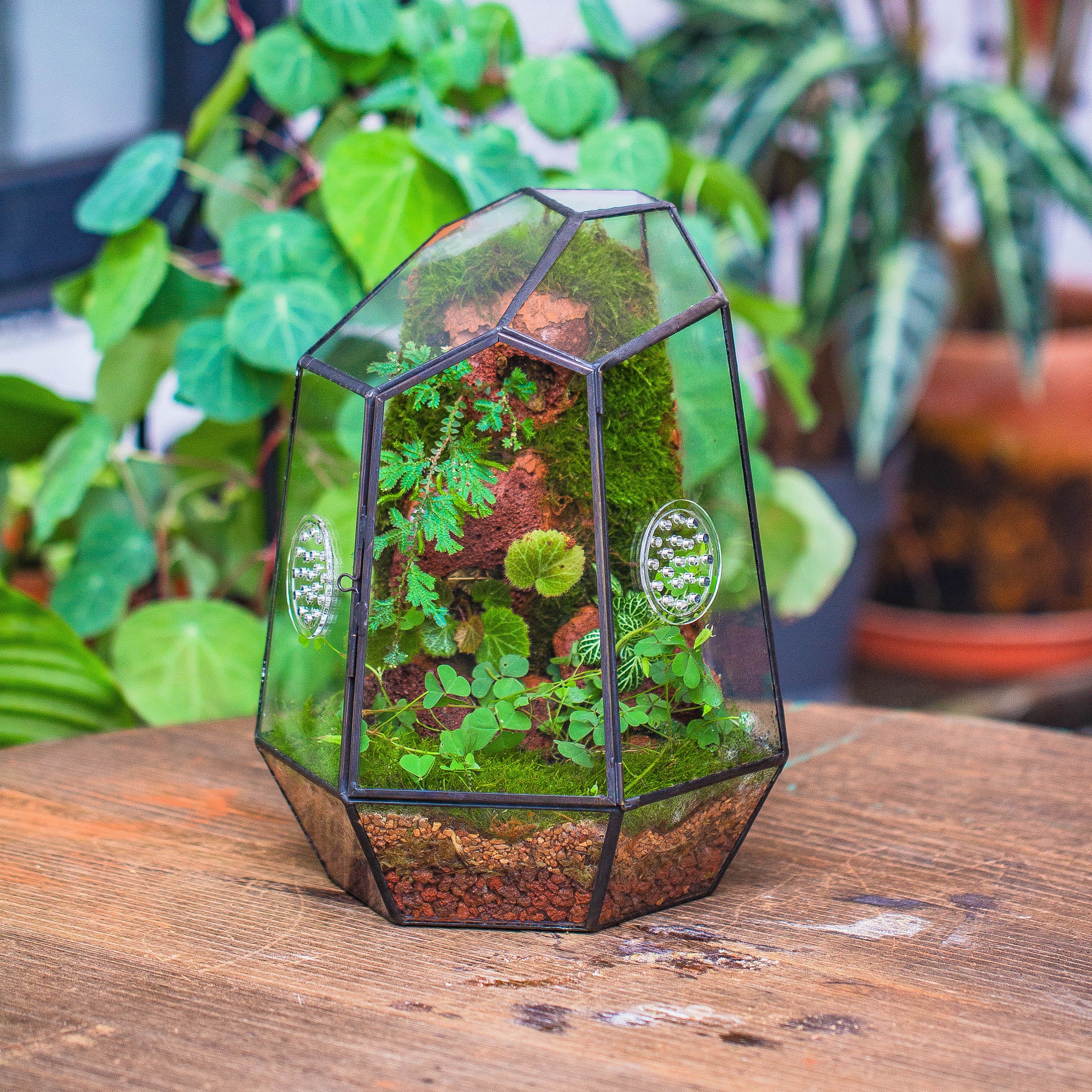 NCYP Close Geometric Glass Terrarium with Door, Tin Sealed Irregular Tall Planter Succulent Cacti Fern Flower Pot - NCYPgarden