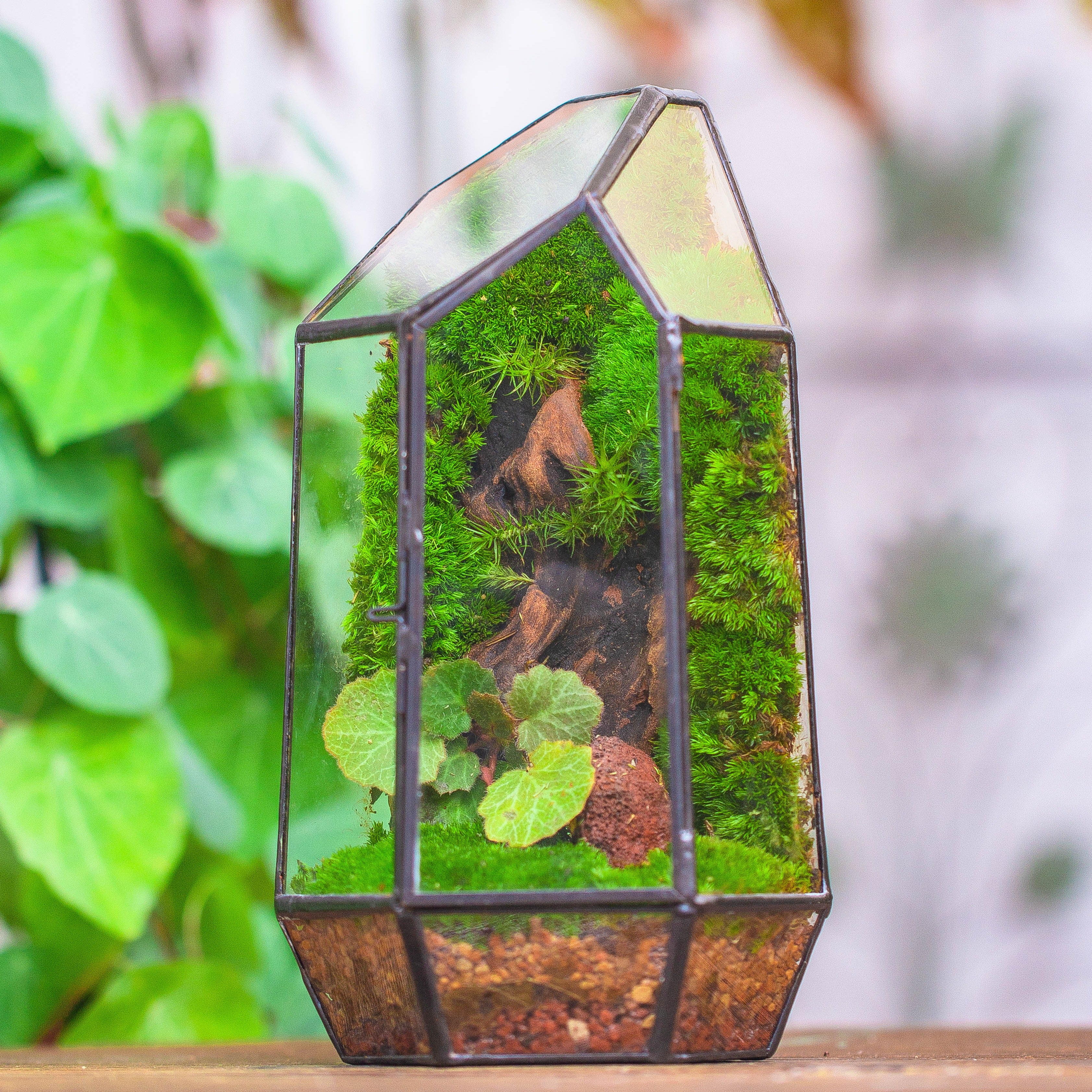 Handmade Black Various Size Irregular Tall Geometric Glass Terrarium Garden Succulents - NCYPgarden