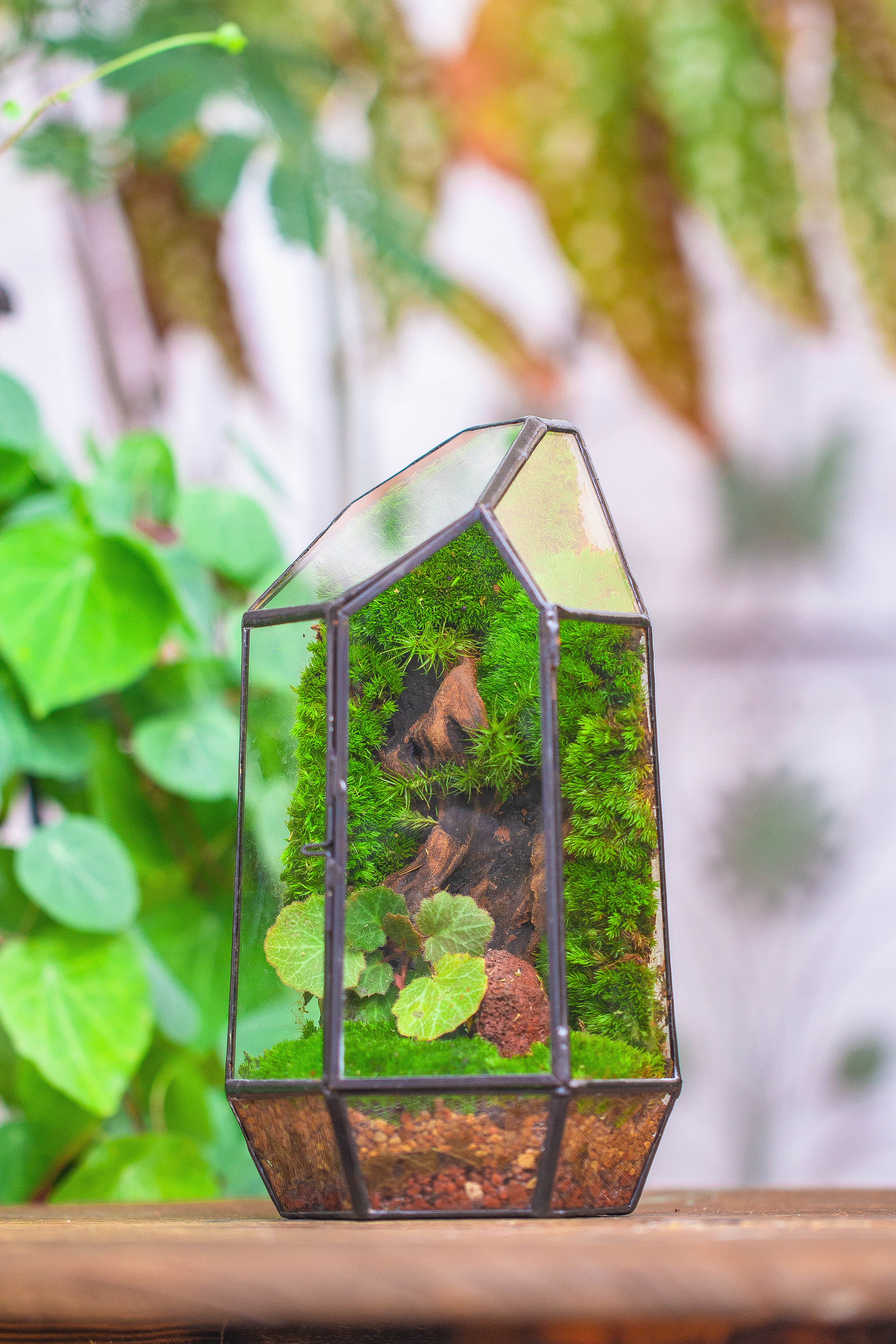 Handmade Black Various Size Irregular Tall Geometric Glass Terrarium Garden Succulents - NCYPgarden