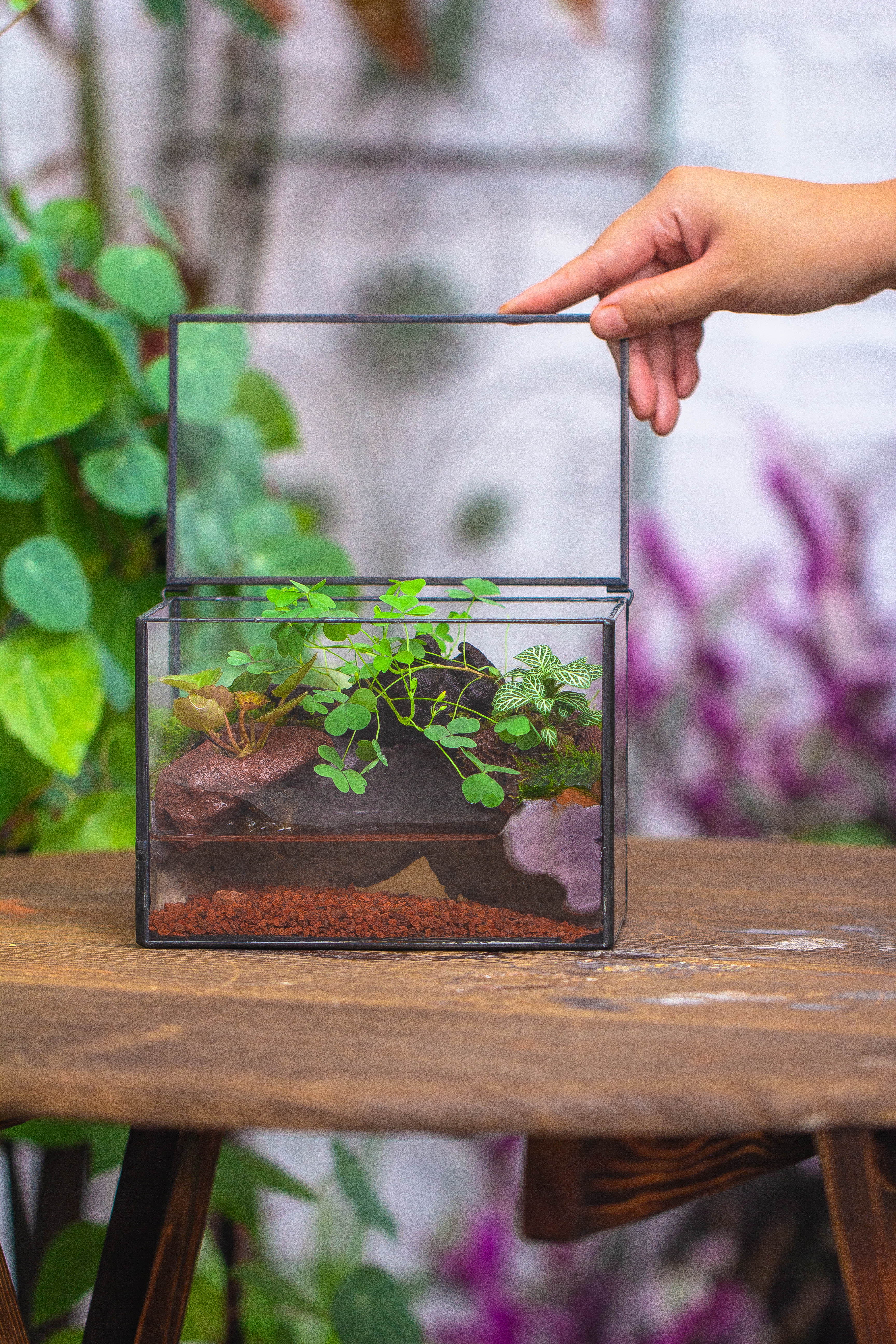 NCYP Watertight Close Small Rectangle Geometric Glass Tin Terrarium, for small waterpond, moss landscape, Live Miniature, water pond - NCYPgarden