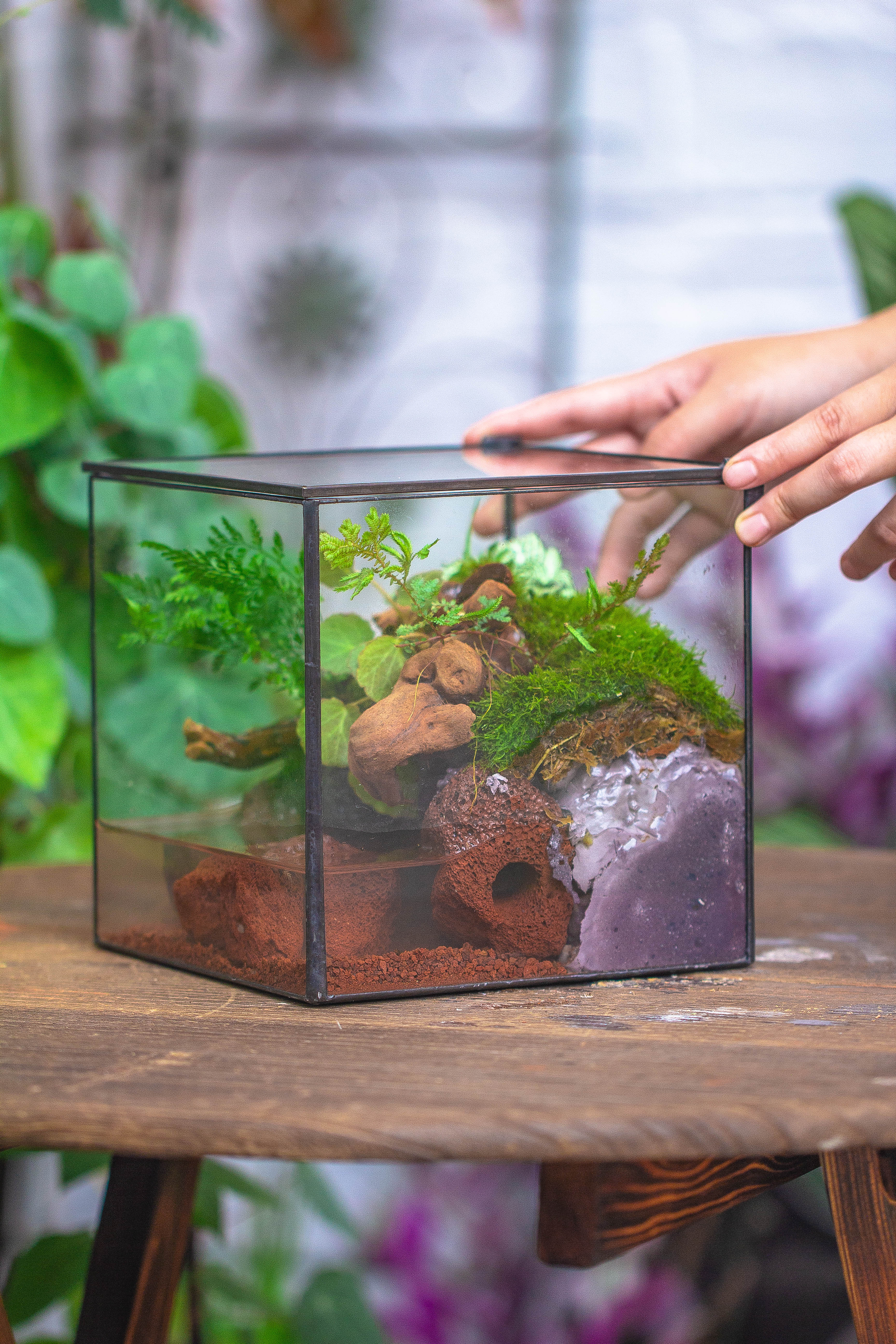 NCYP Watertight Close Cube 7" Geometric Glass Tin Terrarium, for small waterpond, moss landscape, Live Miniature, water pond, landscape - NCYPgarden