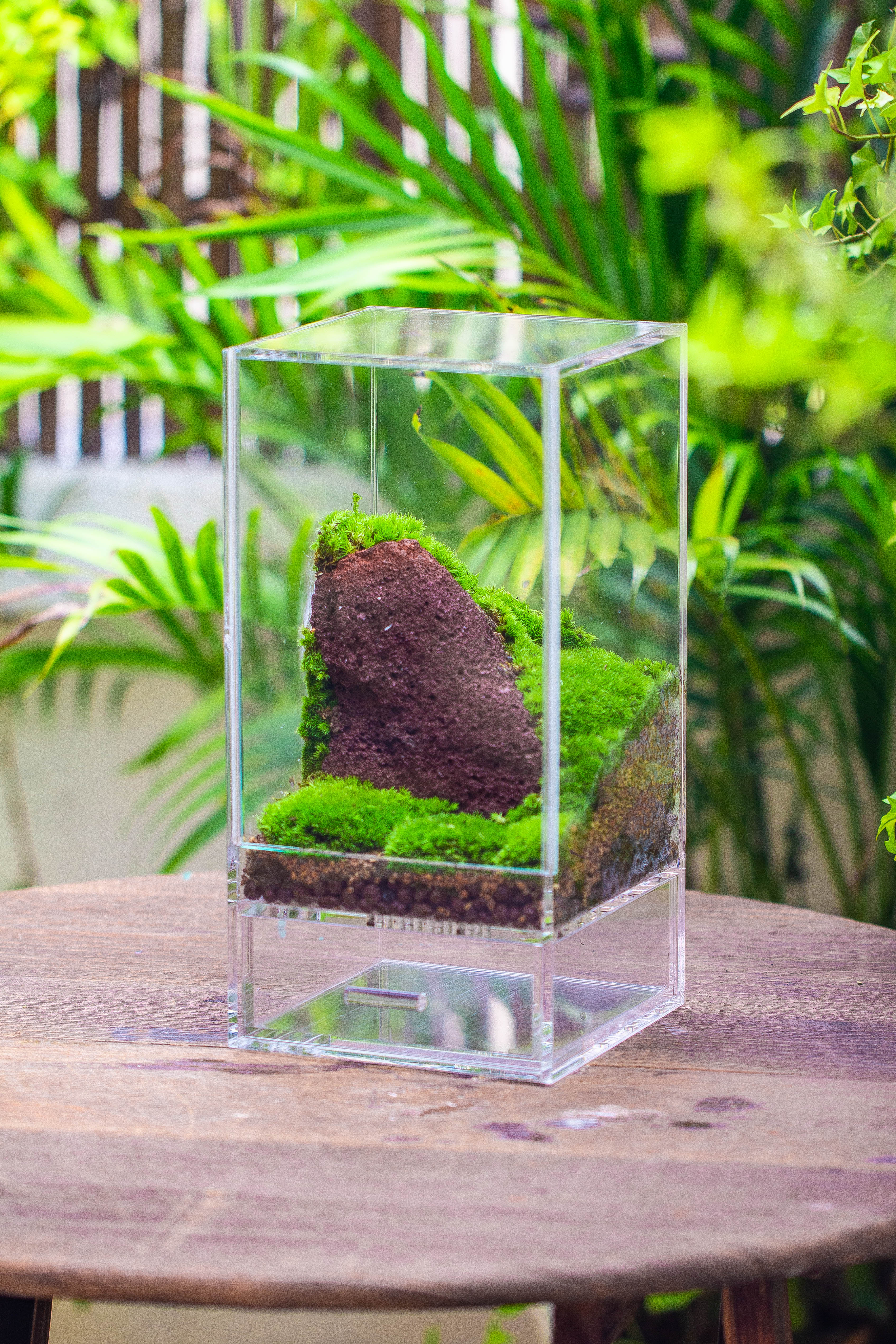 NCYP Acrylic Close terrarium with drainage bottom, suits for Fly Trap, Pitcher Plants, Moss Ball, Nursery, Small tropical Plants - NCYPgarden