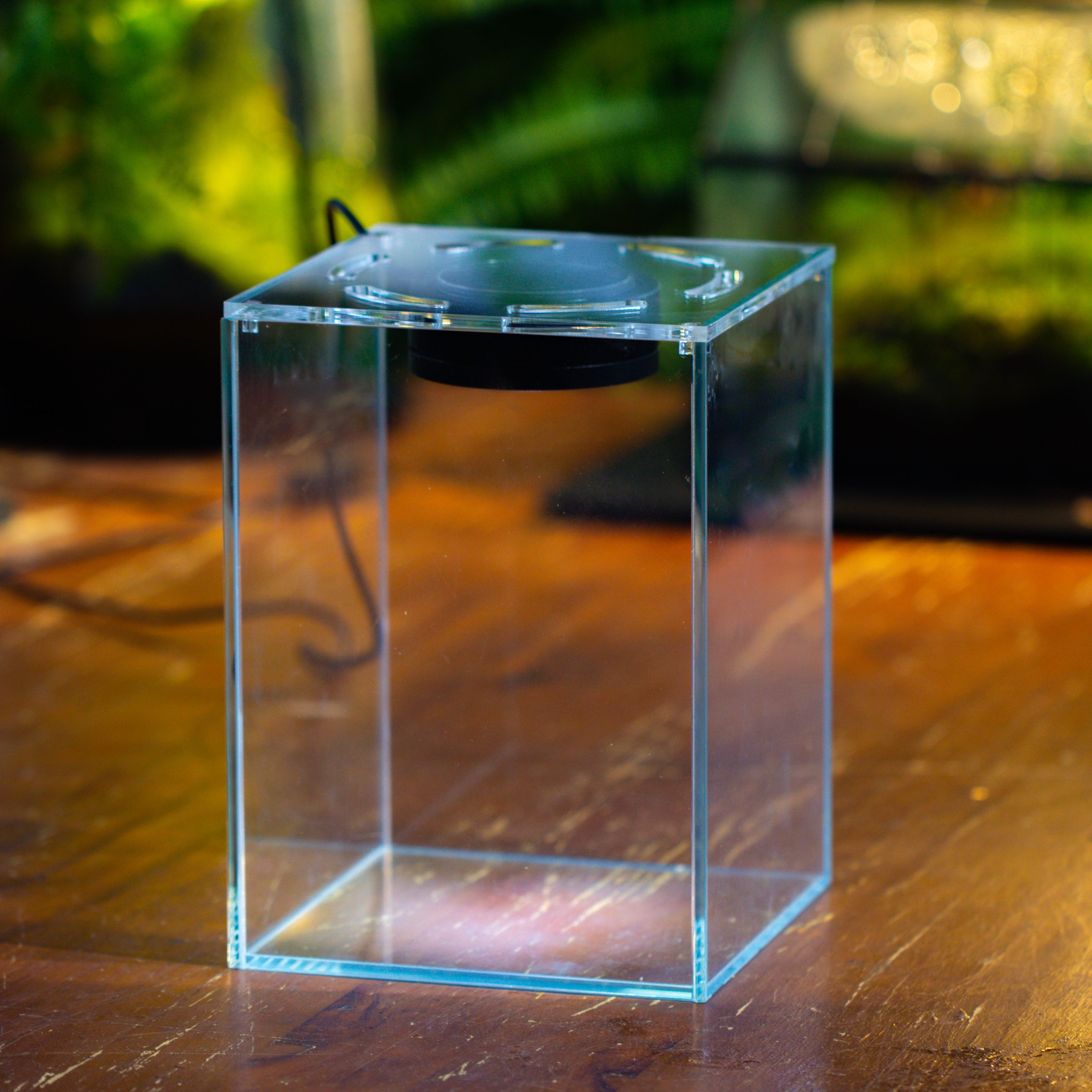 Watertight Glass Terrarium with LED Grow Light, Acrylic Lid for Carnivorous Plants-25x25x30cm / 9.8x9.8x11.8''