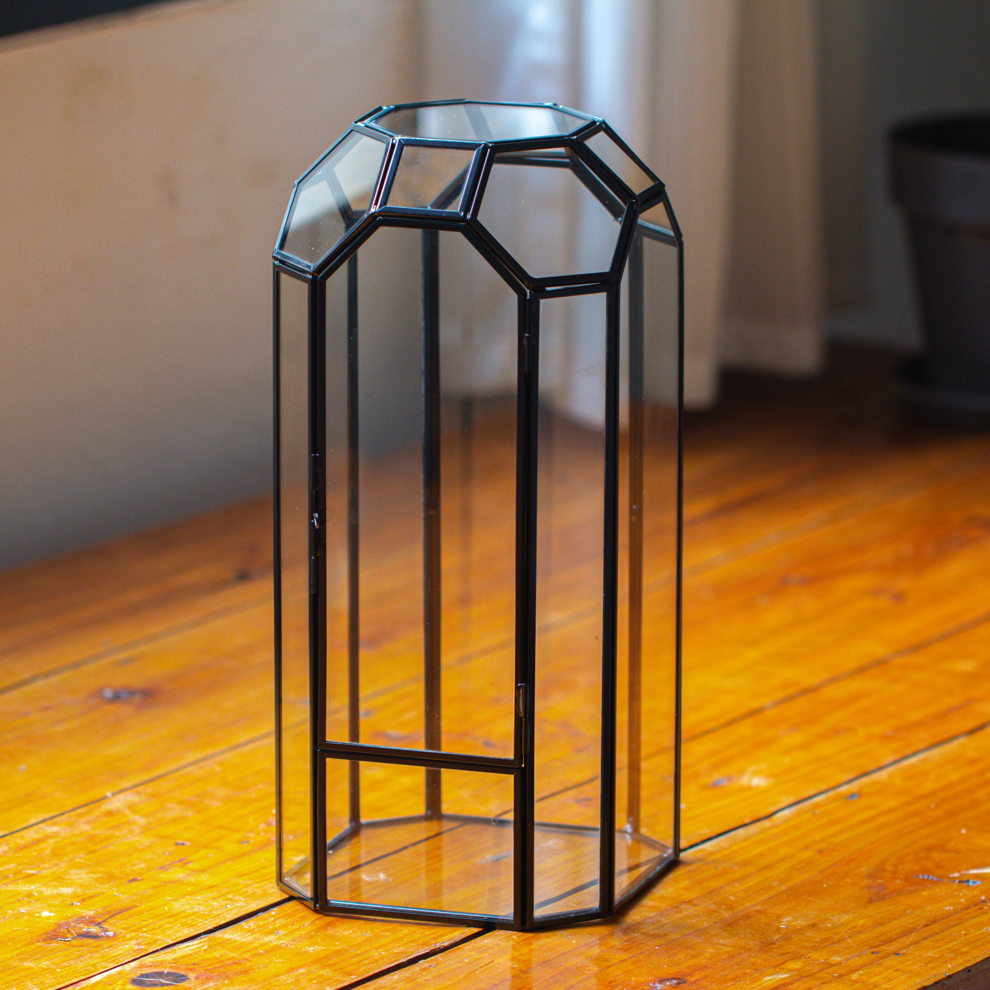 Vintage Tall Octagon Geometric Glass Terrarium , 12.6" , close, suitable for tall plants, orchid, small begonia Pitcher, Micro landscape