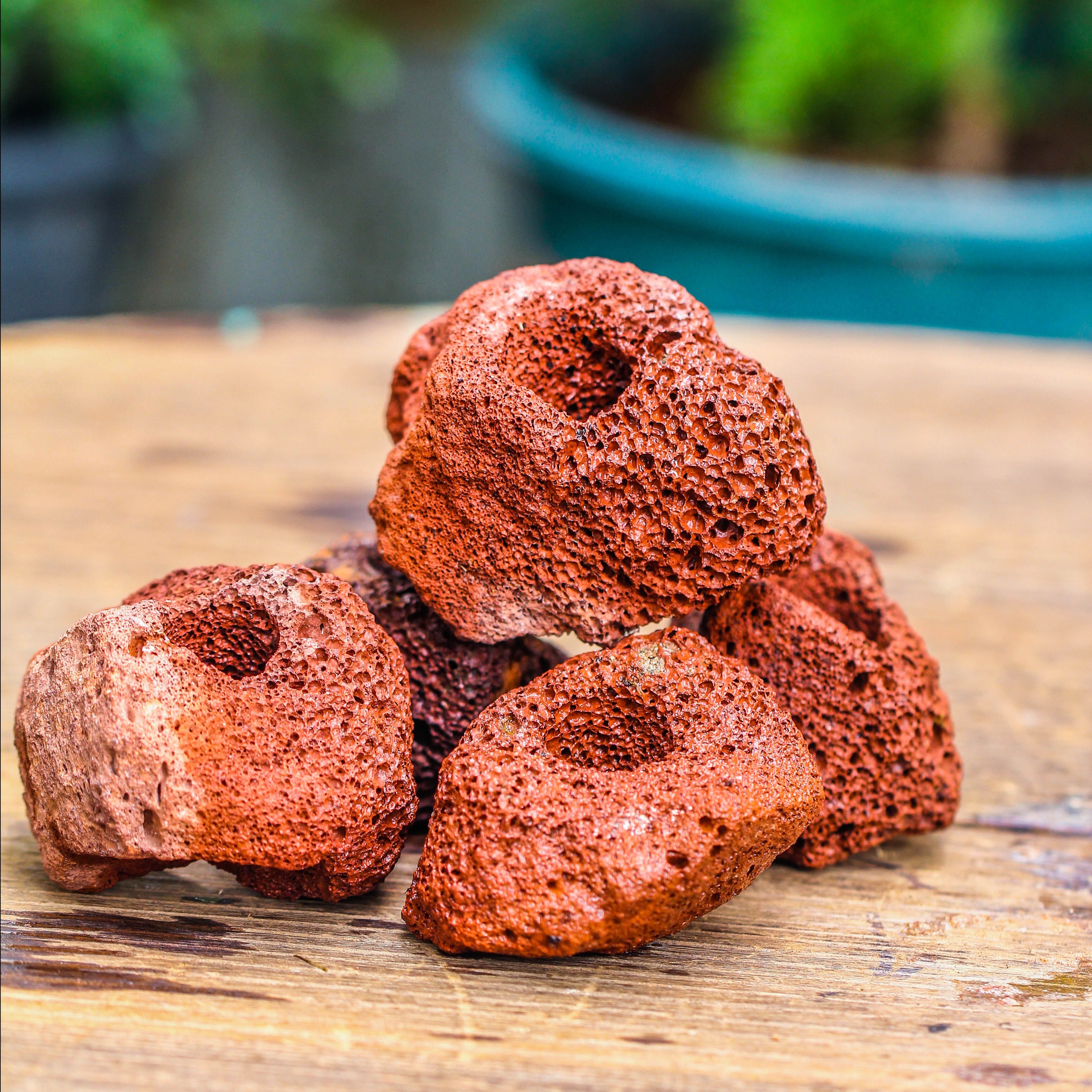 5-8cm Red Horticultural Lava Rock Volcanic Rock for Terrarium, Bonsai Landscape, 500g - NCYPgarden