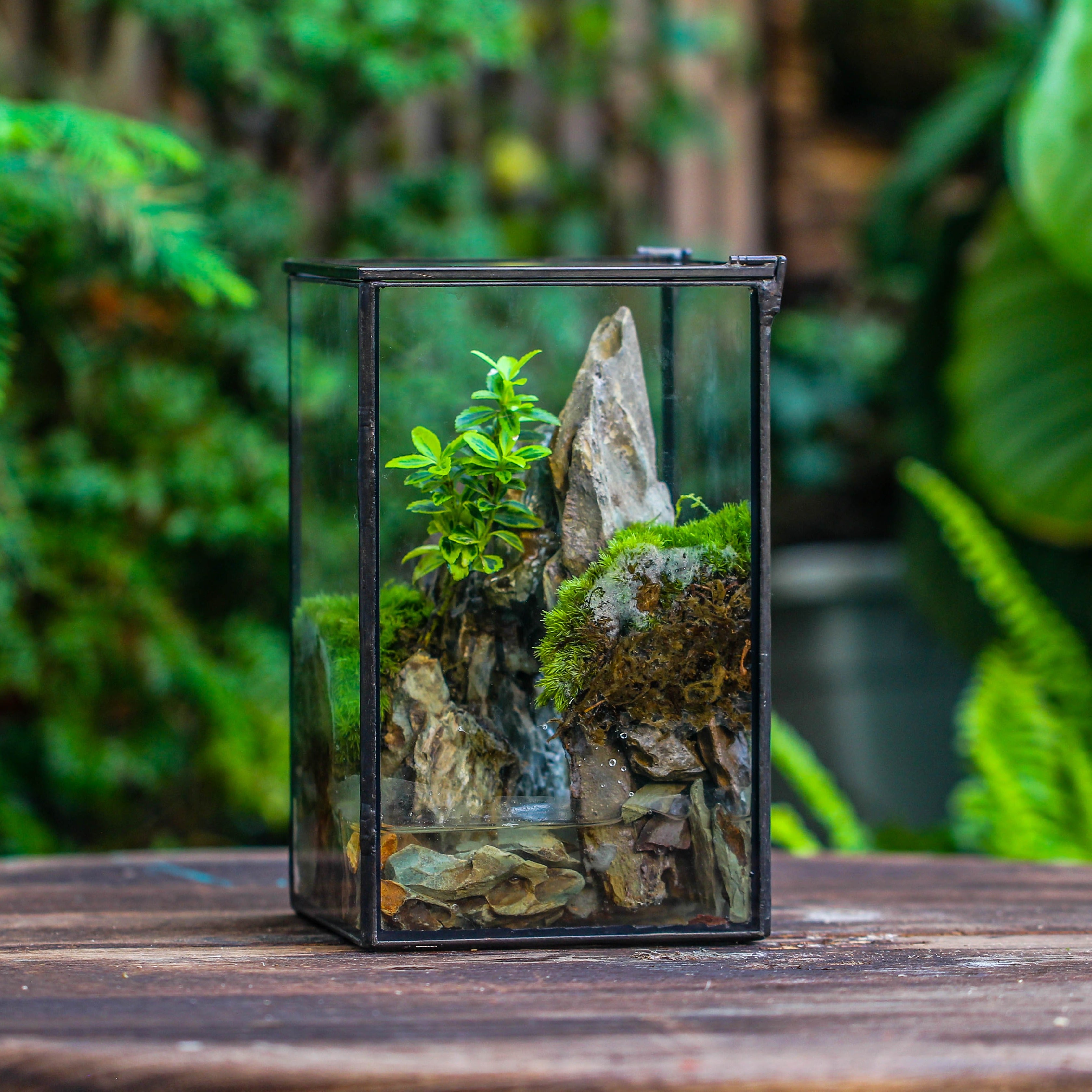 NCYP Watertight Close Geometric Glass Tin Terrarium, for small waterpond, moss landscape, Live Miniature, water pond, miniature - NCYPgarden