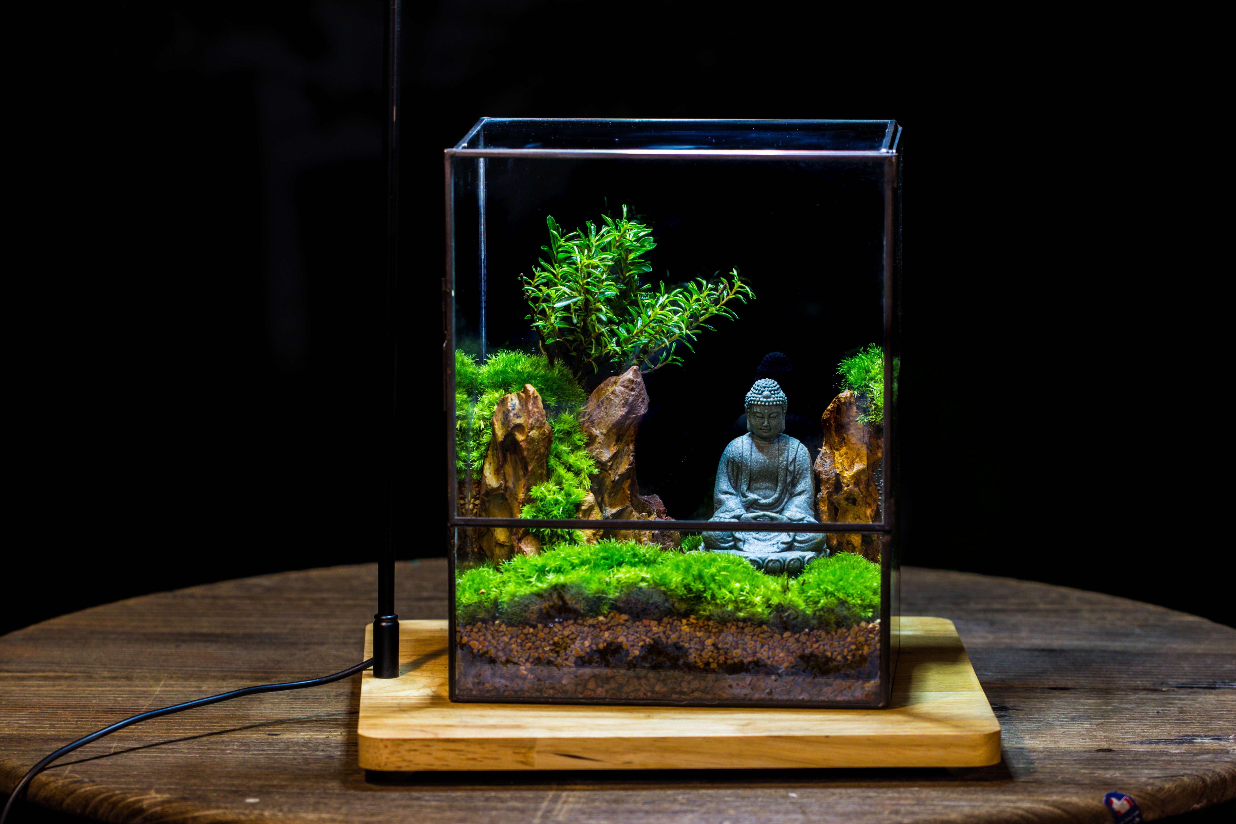 Close Geometric Glass Tin Terrarium , 8x10" and Buddha, rock, Micro Landscape Moss Terrarium Building DIY set No plants, Customizable - NCYPgarden