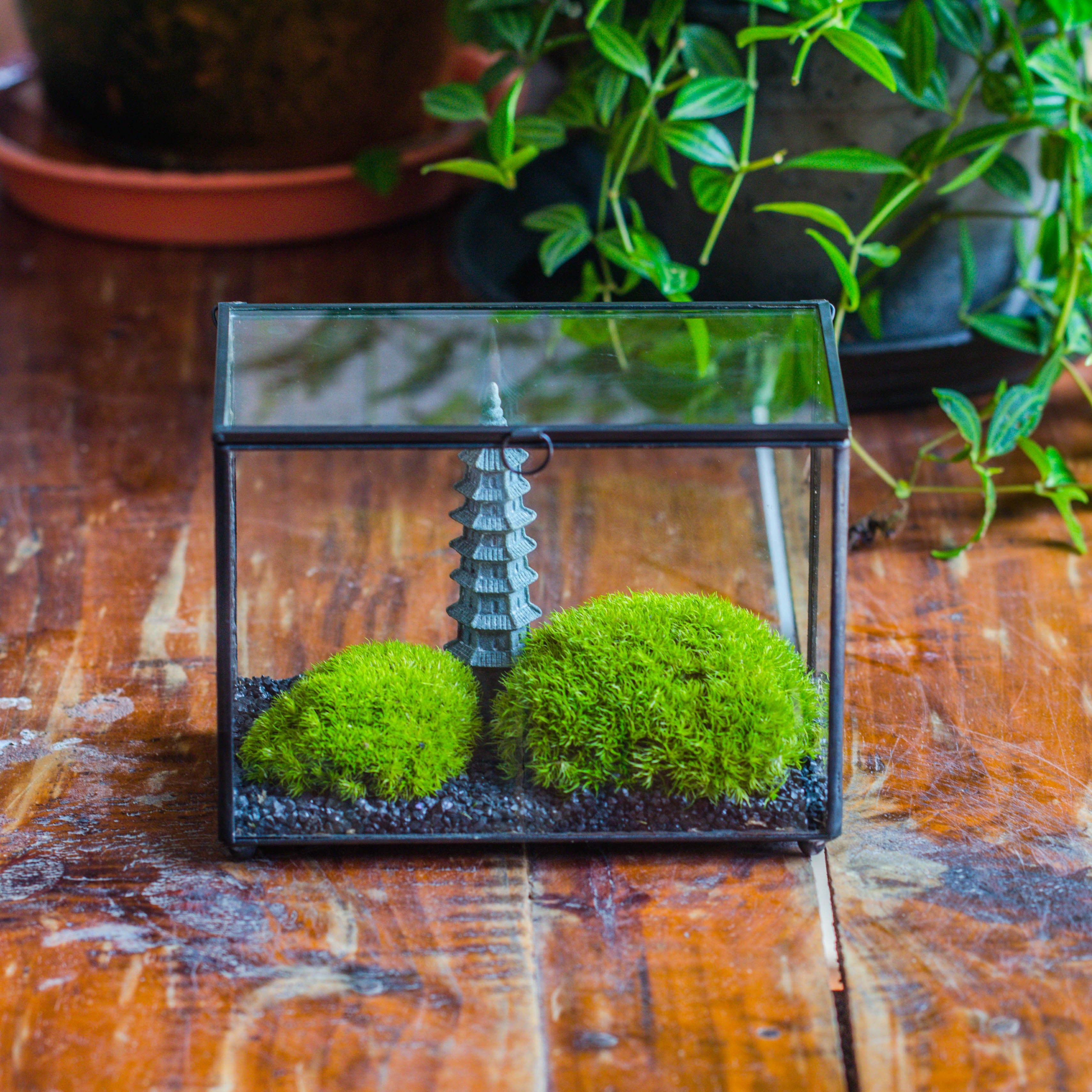 Preserved moss terrarium Miniature DIY set, Japanese Zen Style, Preserved Leucobryum moss and pagoda, 17*10*12cm / 6.7 x 3.9 x 4.7" - NCYPgarden