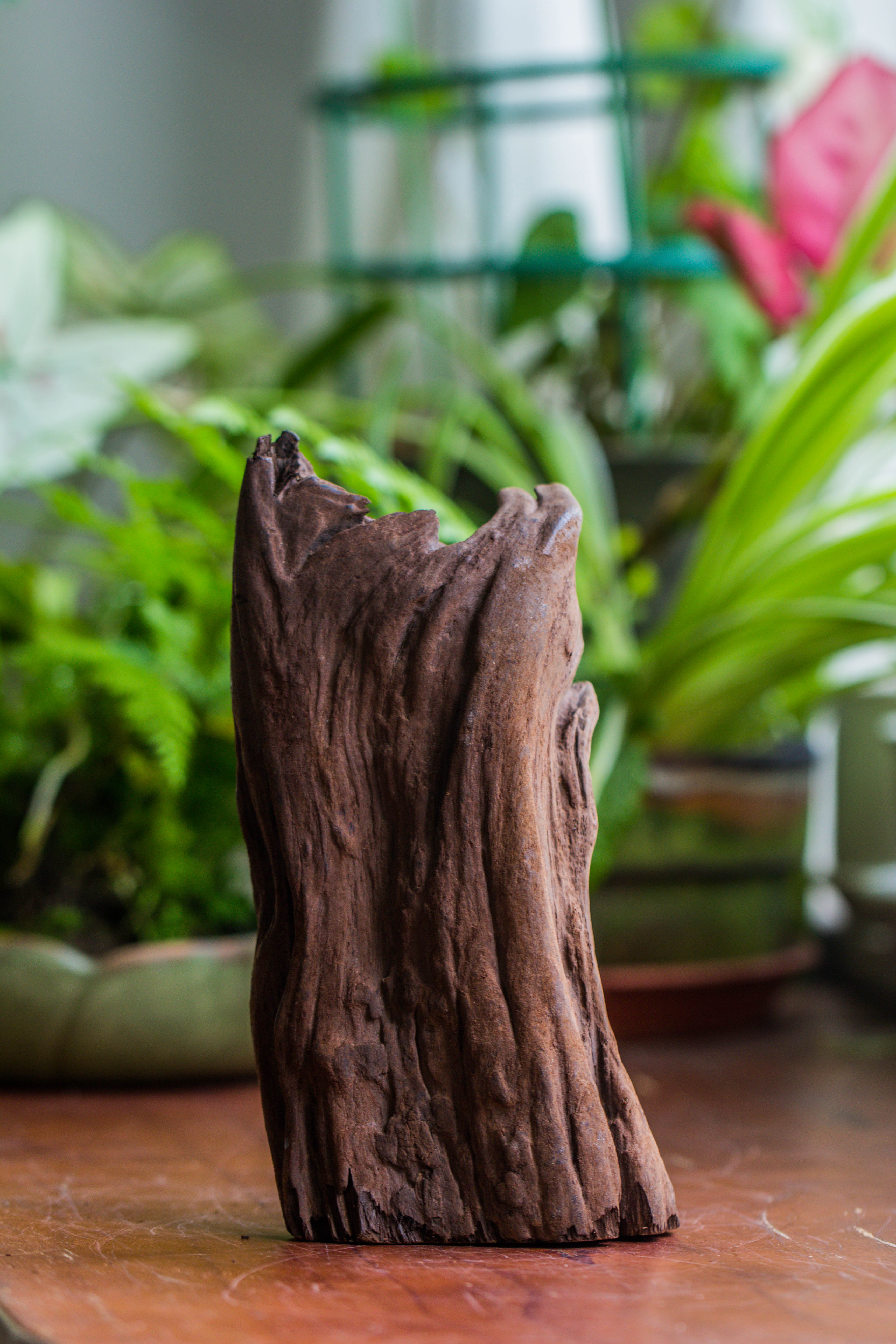 Copy of Natural driftwood for moss terrarium, miniature, micro landscape, unique  10-22, suitable for both live and preserved moss - NCYPgarden