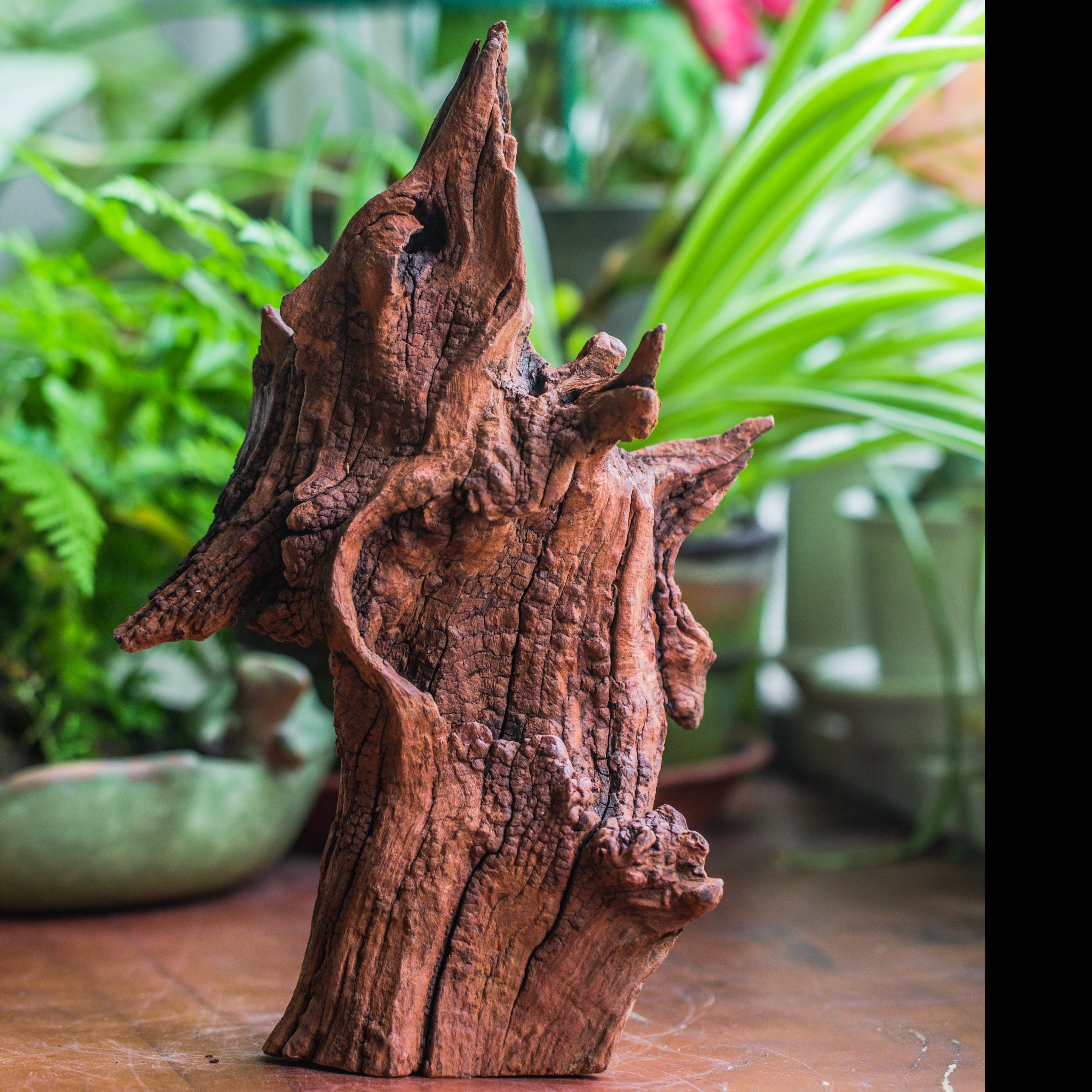 Copy of Natural driftwood for moss terrarium, miniature, micro landscape, unique  10-33, suitable for both live and preserved moss - NCYPgarden