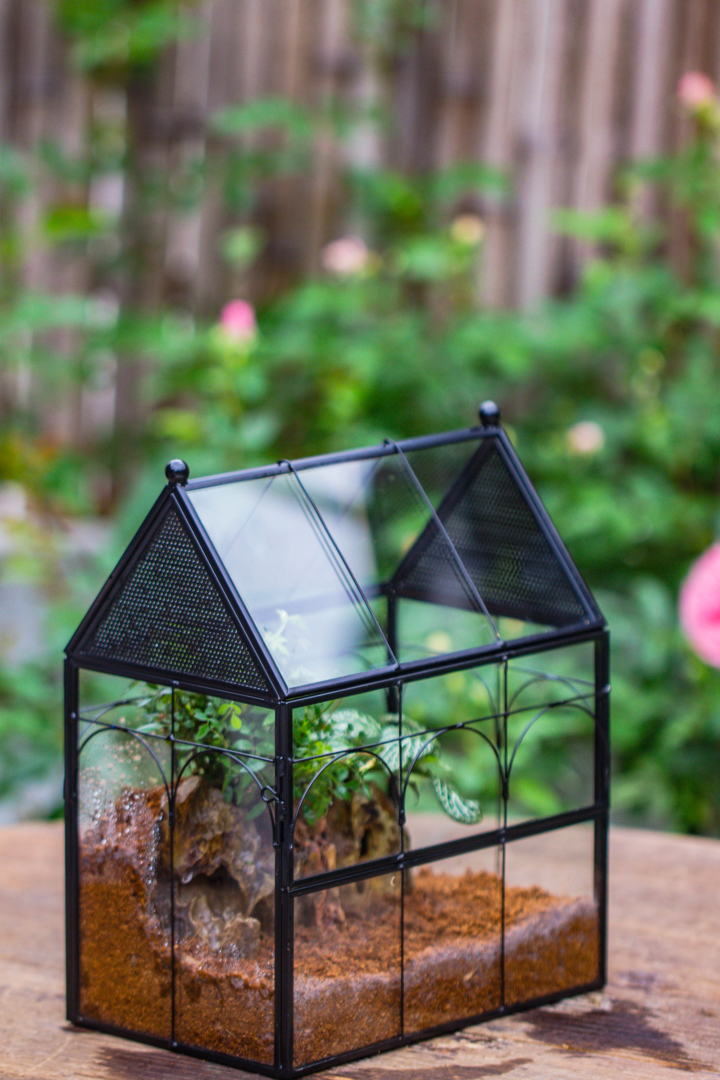 Handmade Terrarium with Light, House Shape Glass Geometric Terrarium with LED Light Set, Wooden Base, Jumping Spider Terrarium,Gift for Dad - NCYPgarden