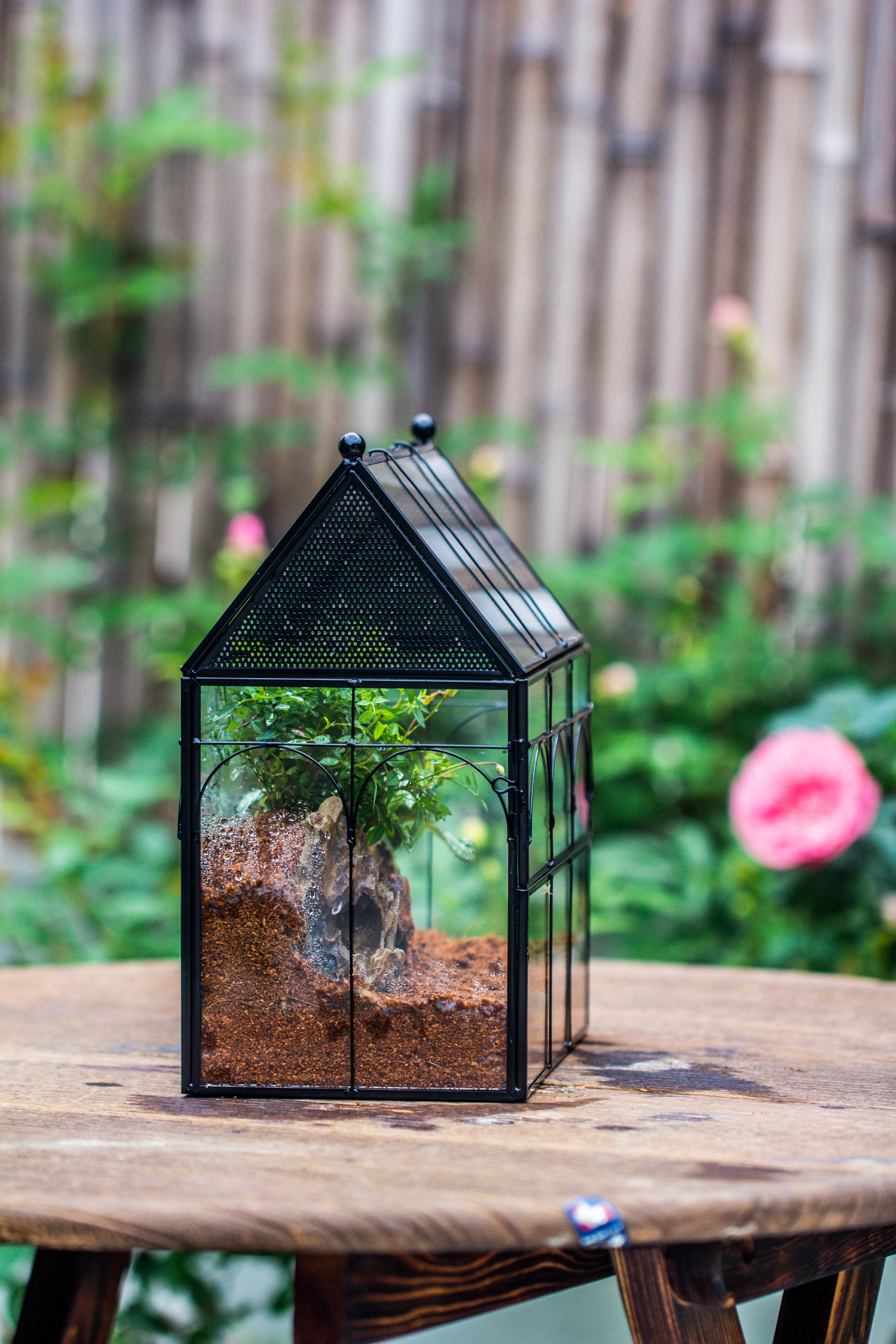 Handmade Terrarium with Light, House Shape Glass Geometric Terrarium with LED Light Set, Wooden Base, Jumping Spider Terrarium,Gift for Dad - NCYPgarden