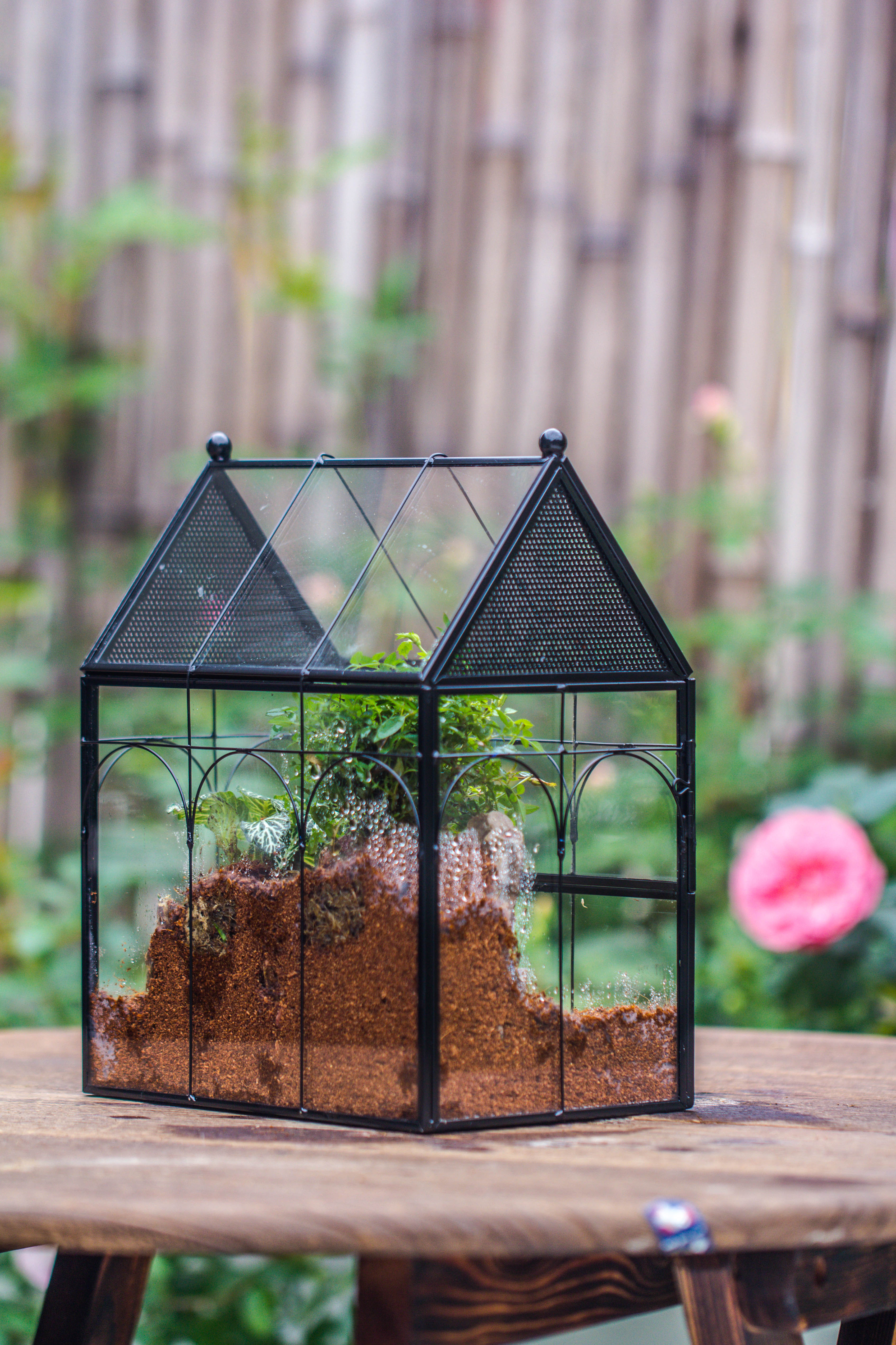 Handmade Terrarium with Light, House Shape Glass Geometric Terrarium with LED Light Set, Wooden Base, Jumping Spider Terrarium,Gift for Dad - NCYPgarden