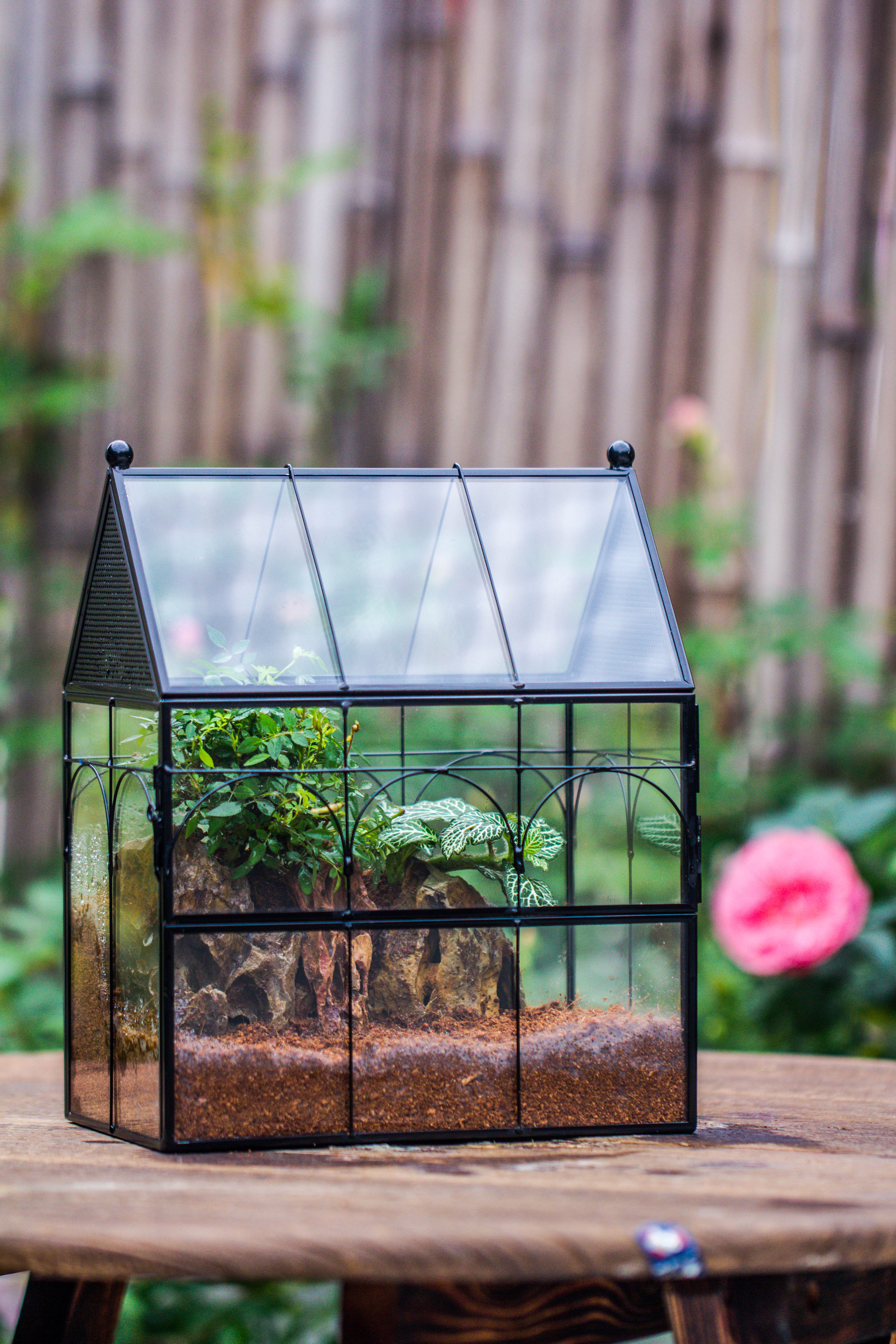 Handmade Terrarium with Light, House Shape Glass Geometric Terrarium with LED Light Set, Wooden Base, Jumping Spider Terrarium,Gift for Dad - NCYPgarden