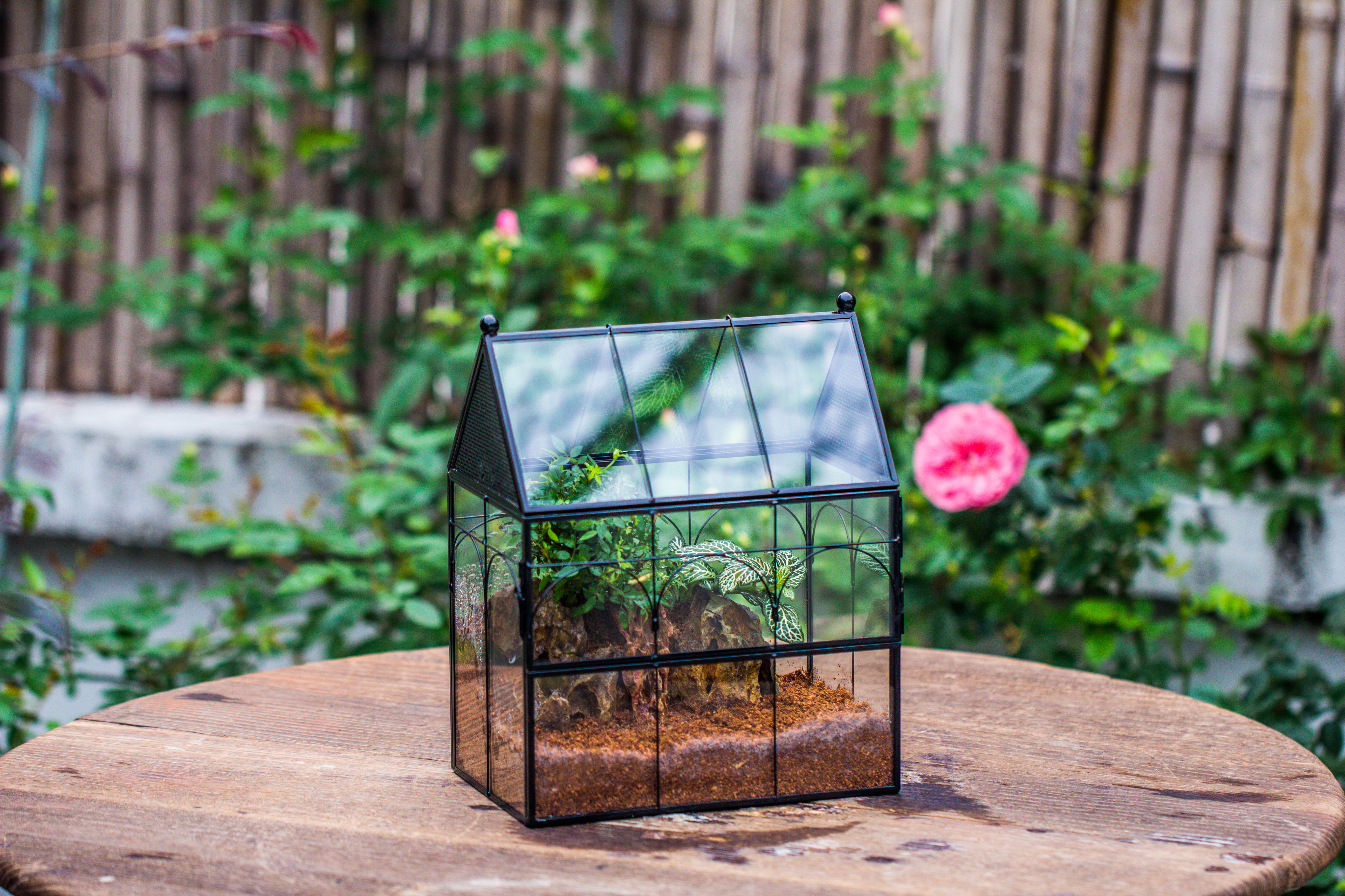 Handmade Terrarium with Light, House Shape Glass Geometric Terrarium with LED Light Set, Wooden Base, Jumping Spider Terrarium,Gift for Dad - NCYPgarden