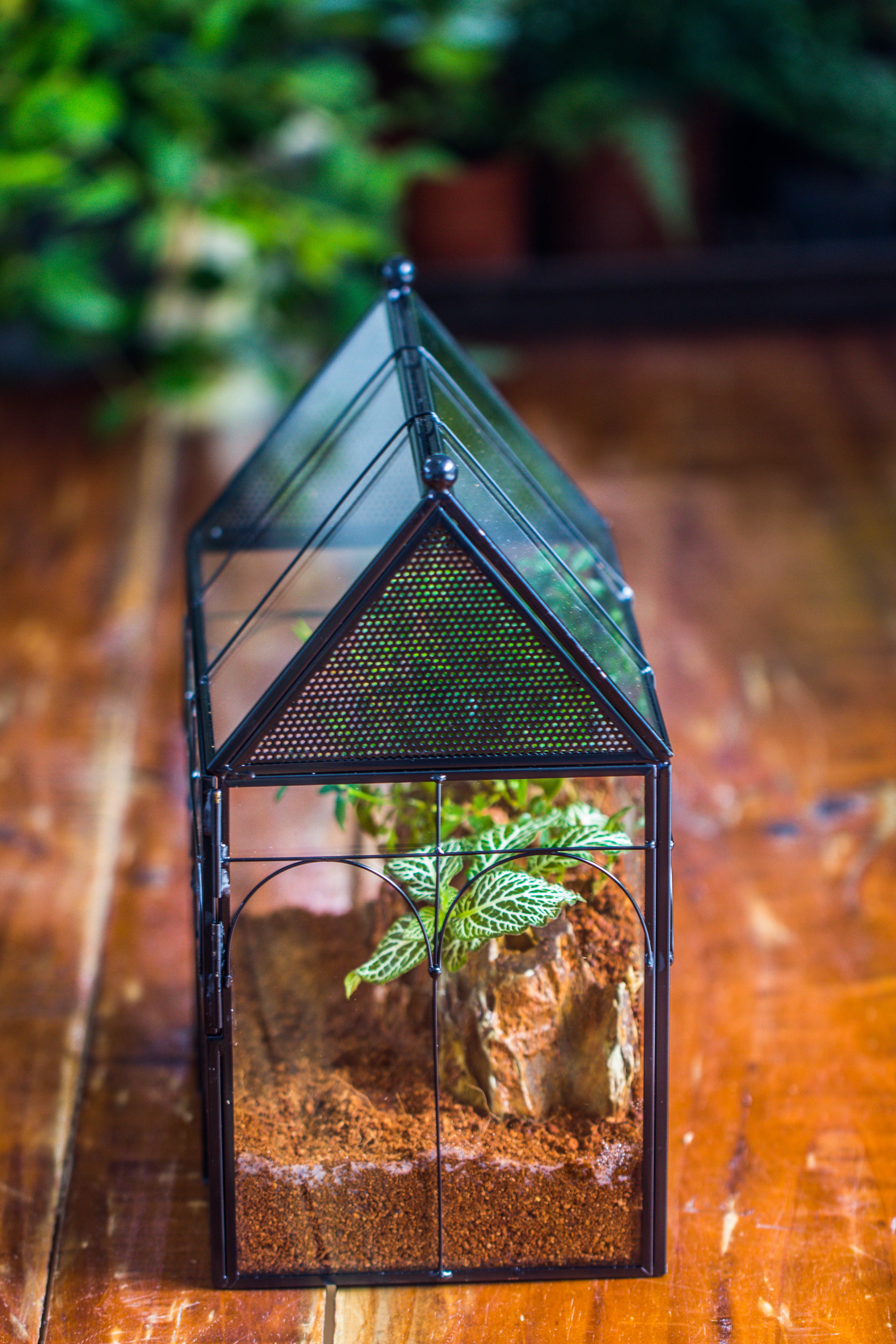 Handmade Terrarium with Light, House Shape Glass Geometric Terrarium with LED Light Set, Wooden Base, Jumping Spider Terrarium,Gift for Dad - NCYPgarden