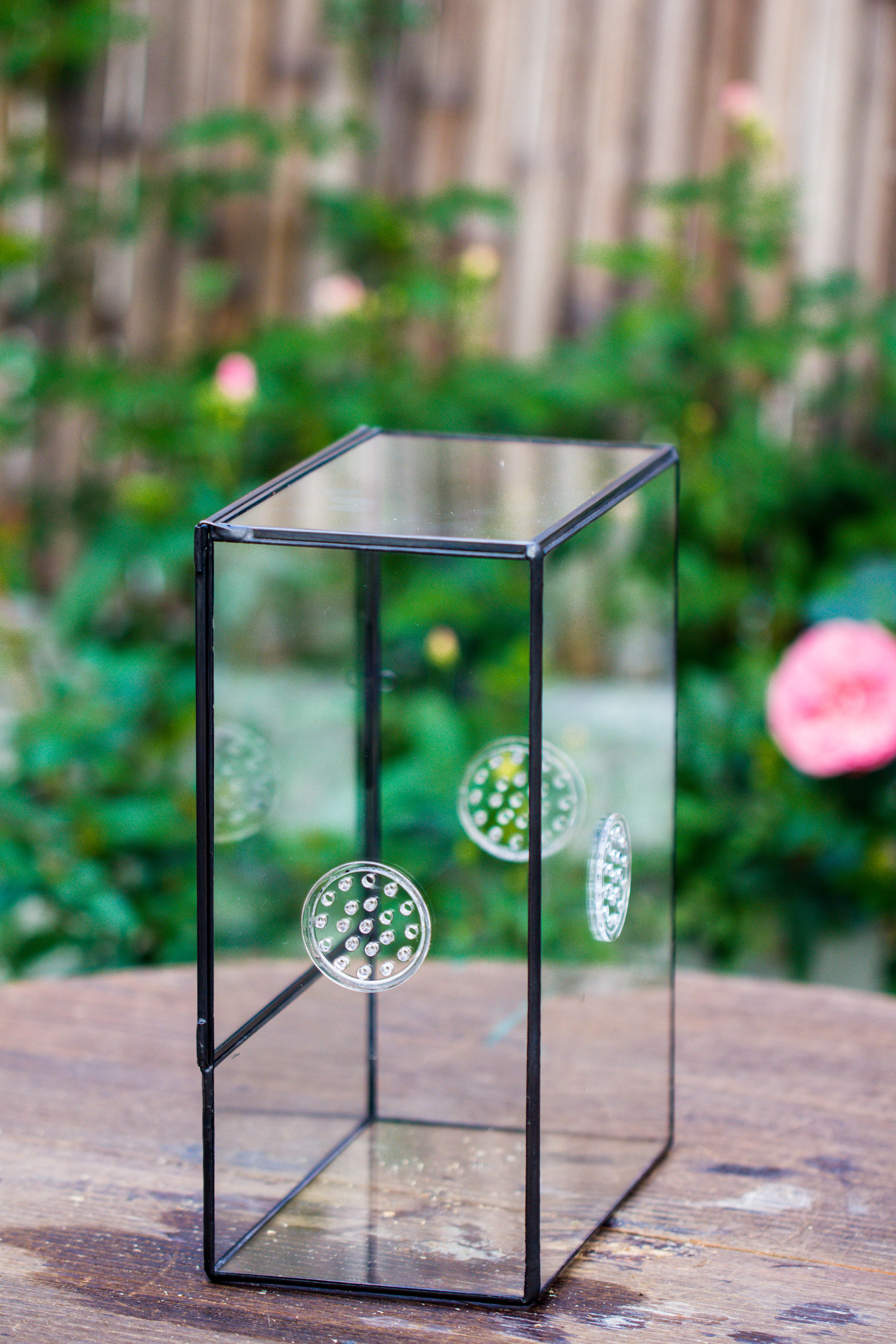 Close Geometric Glass Tin Terrarium with 3 Vents , 8x10" with side door, for insects, snail , spider, micro landscape  -with warm light set - NCYPgarden