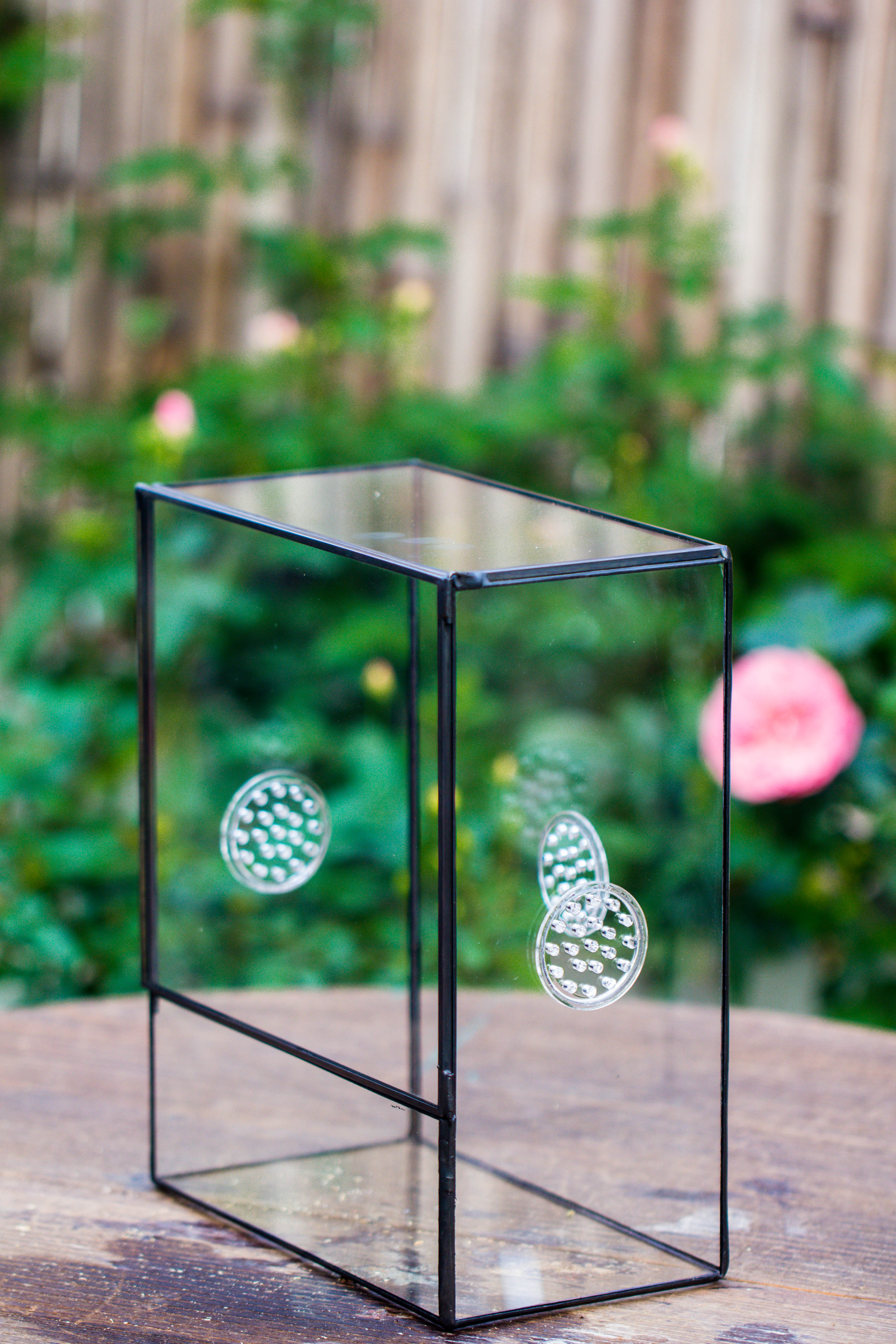 Close Geometric Glass Tin Terrarium with 3 Vents , 8x10" with side door, for insects, snail , spider, micro landscape  -with white light set - NCYPgarden